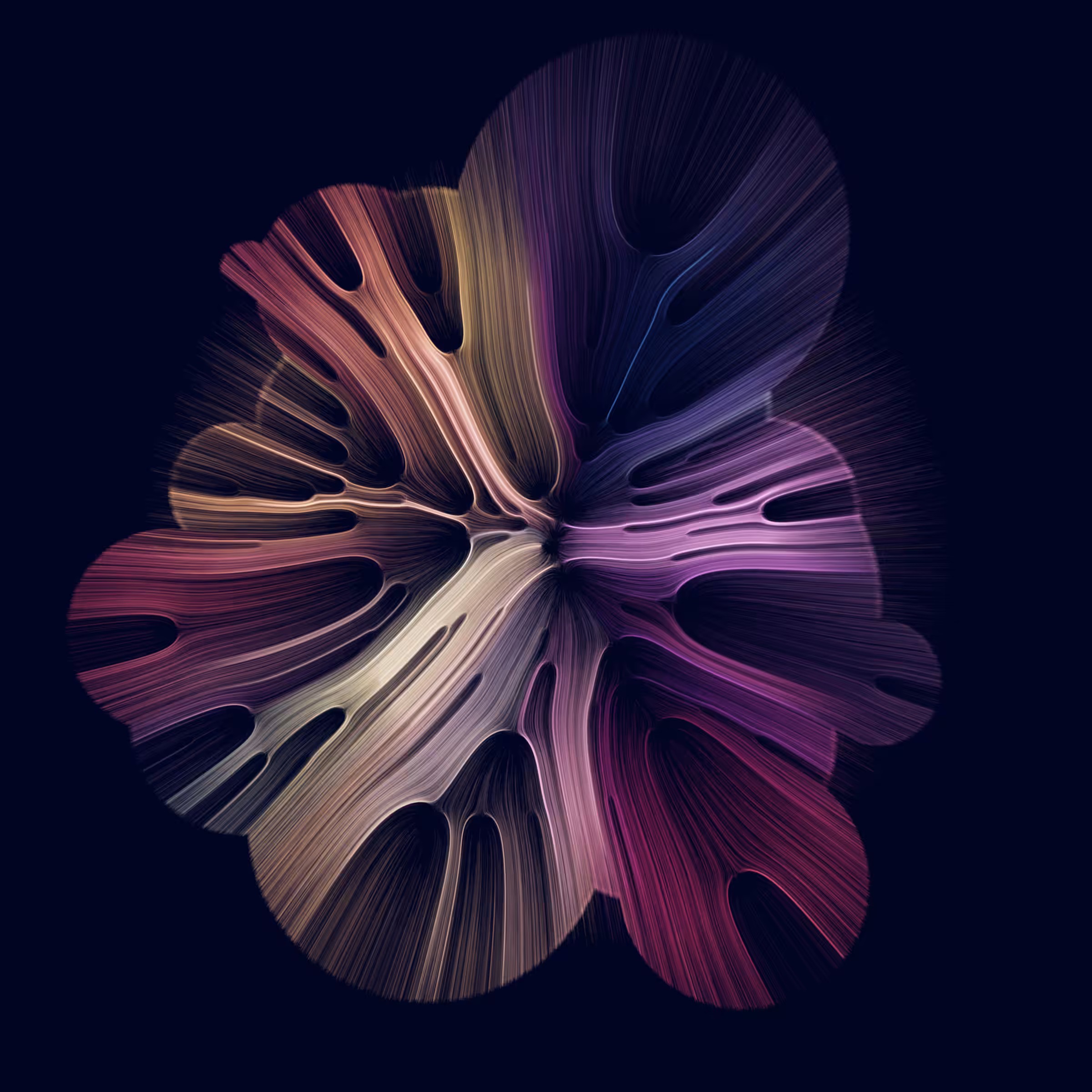 Gravity 16 #814