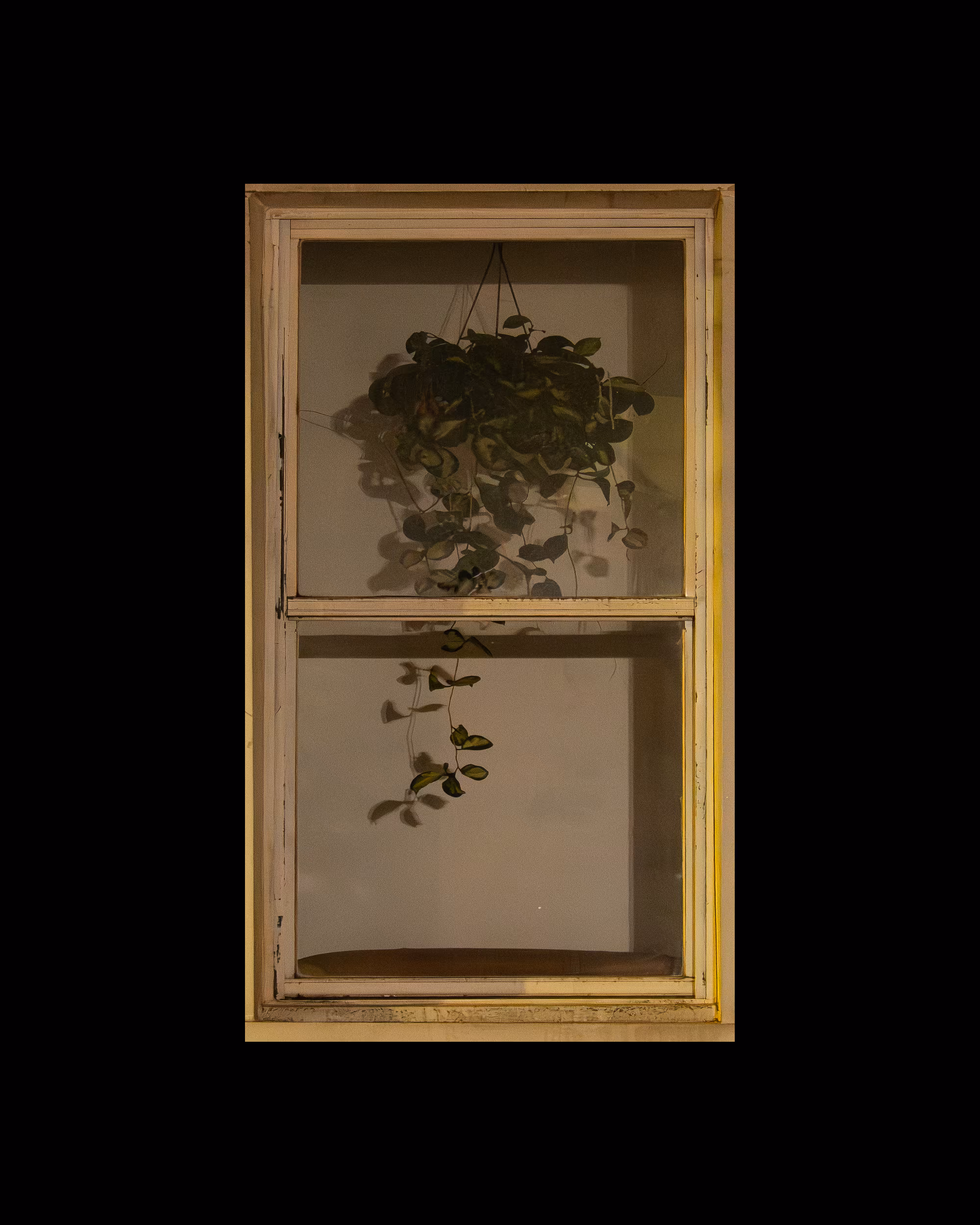 WINDOW 25
