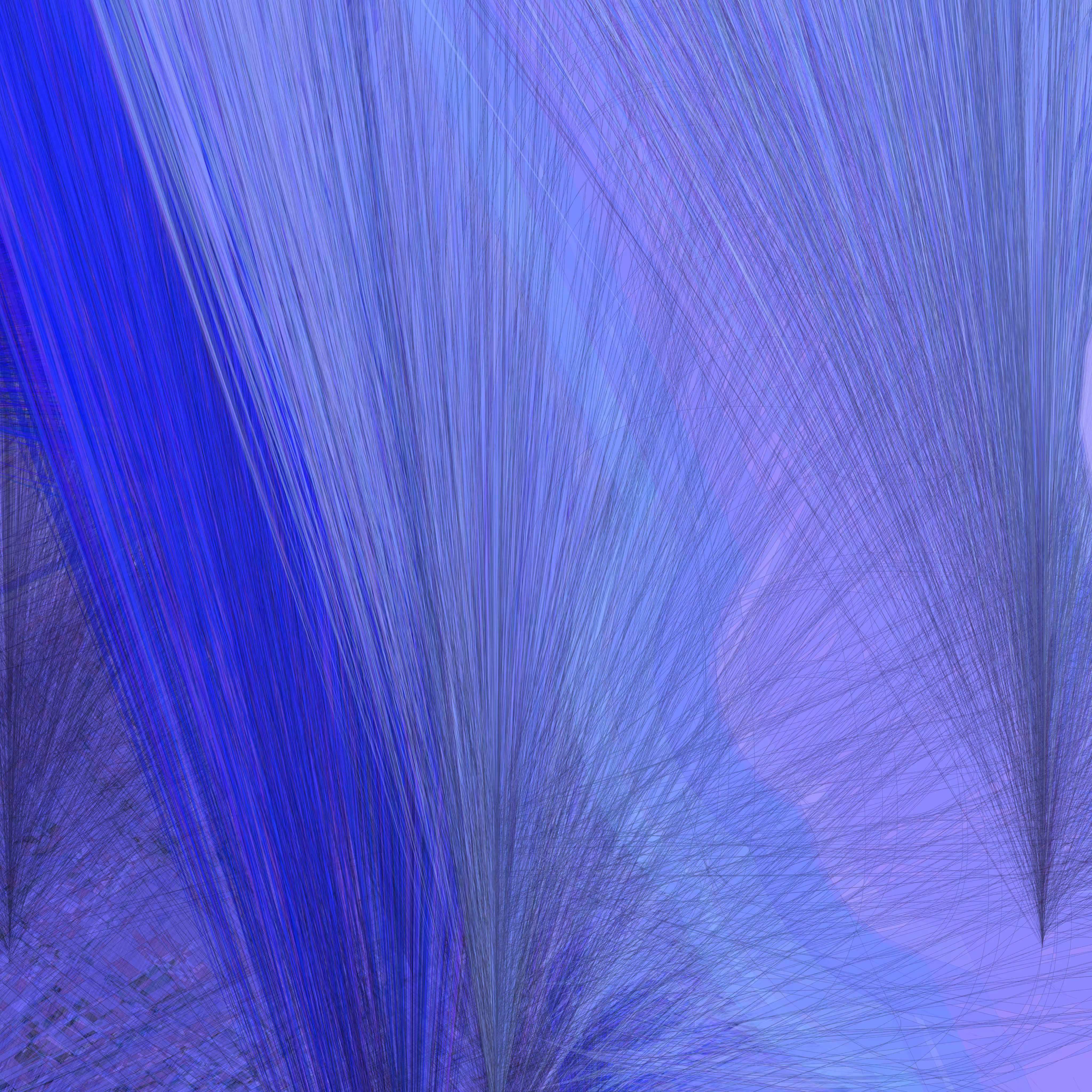 Wire Brushes #2