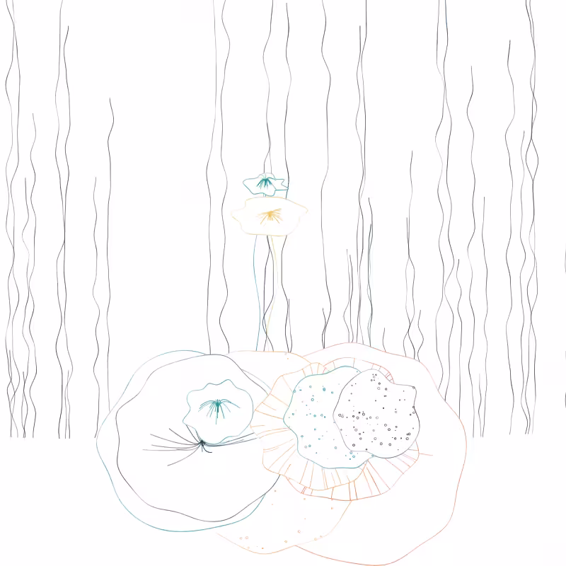 The Good Corals #37