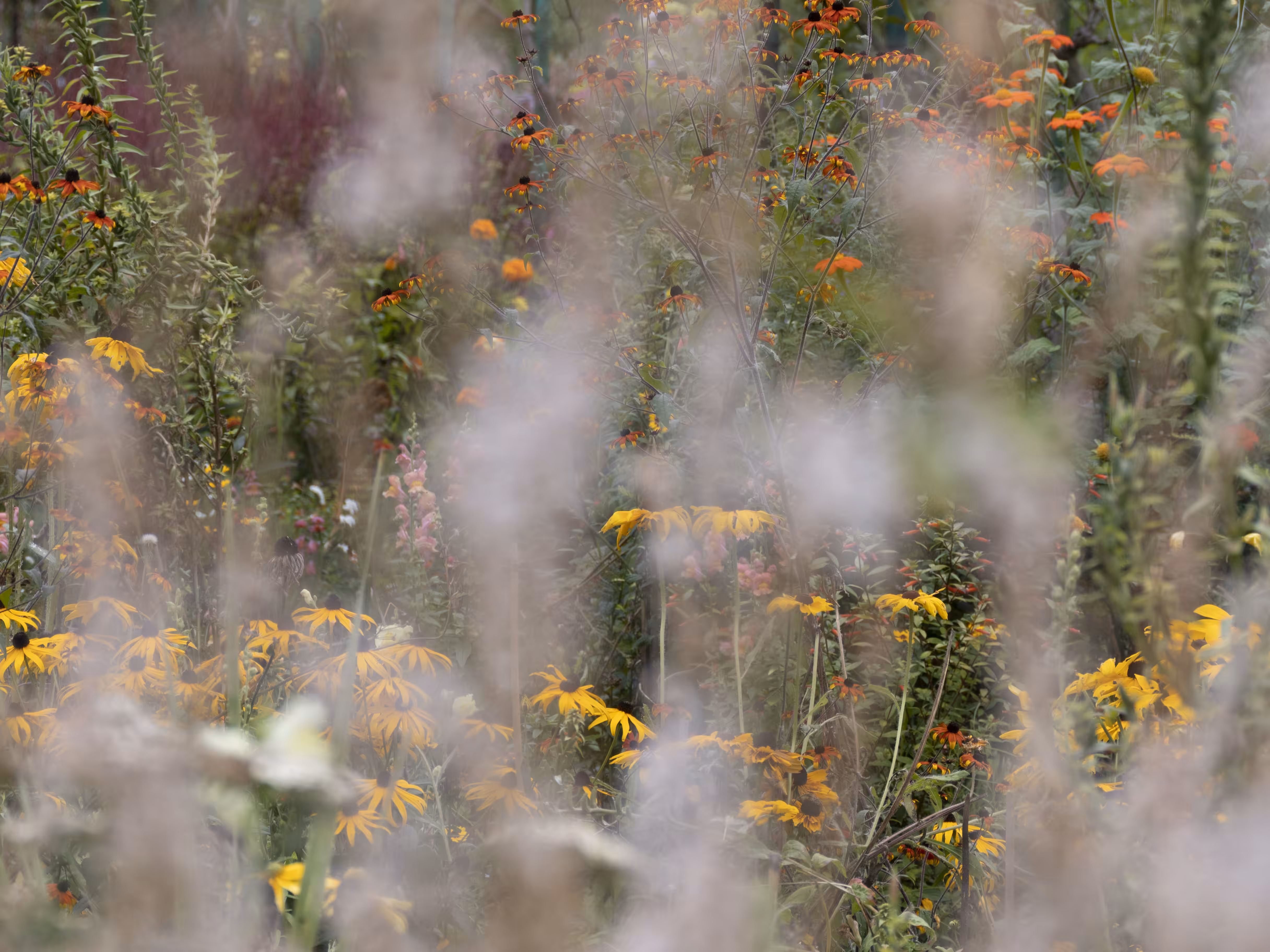 Giverny #17