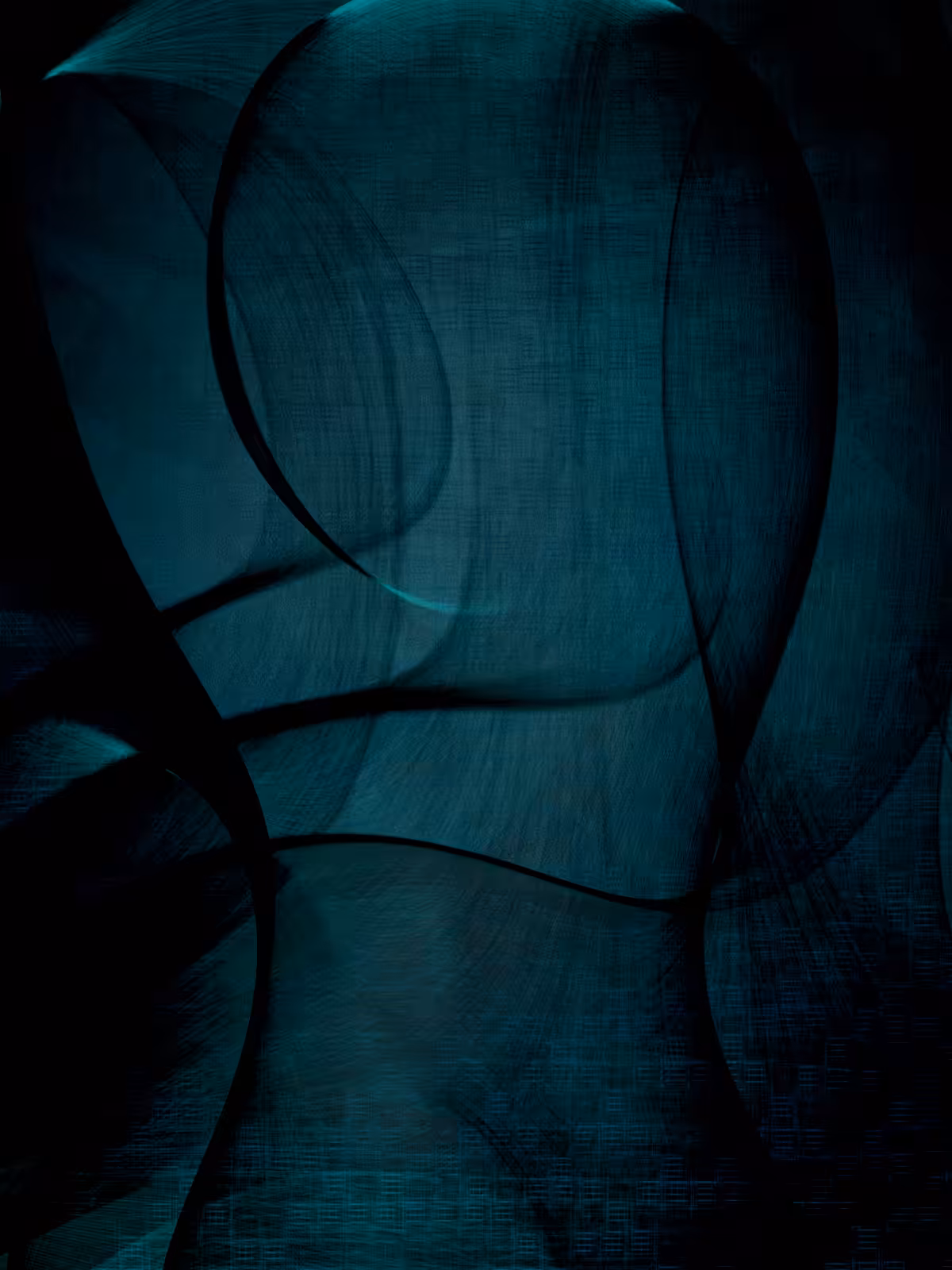 Veils of Perception #29