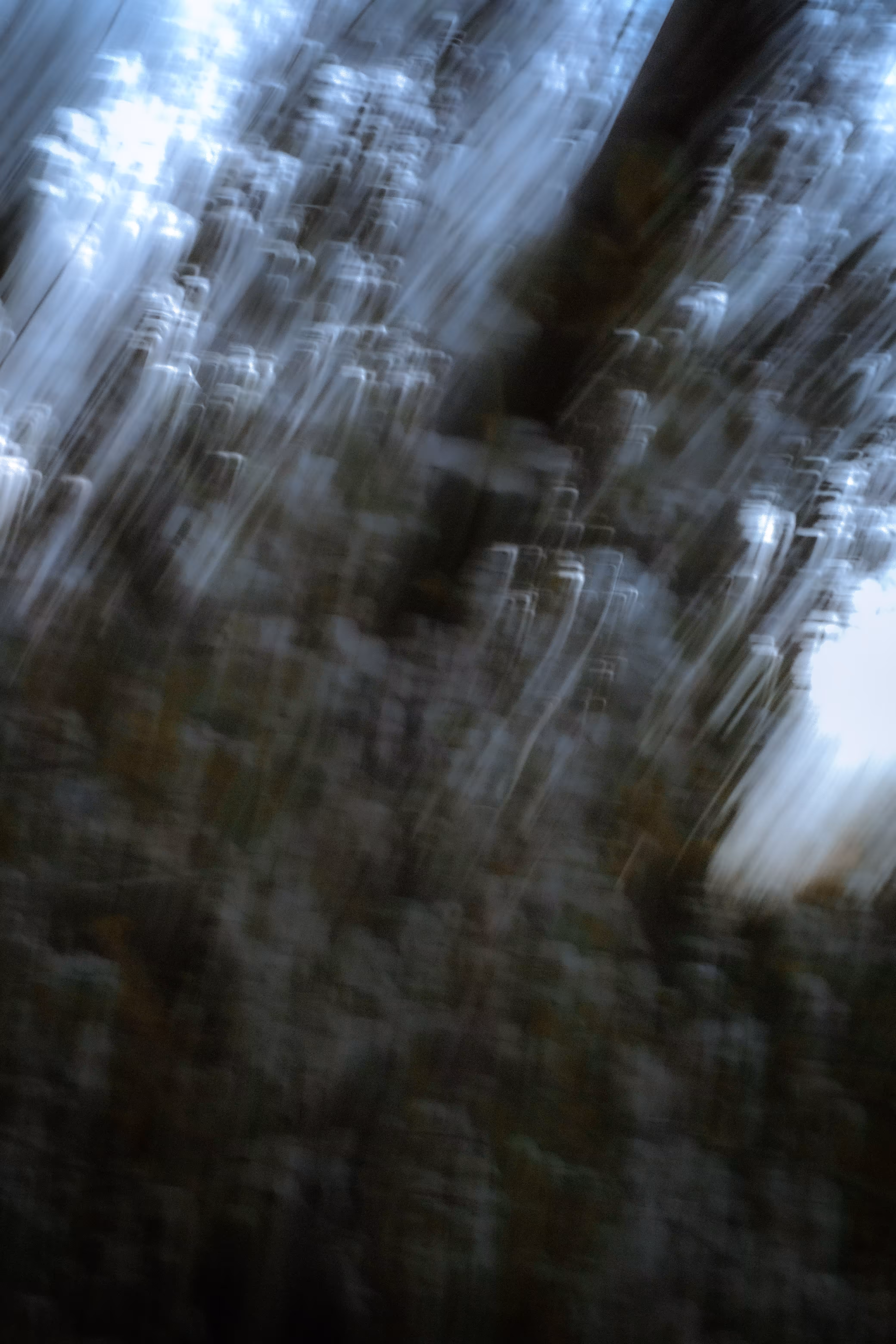 Frame II