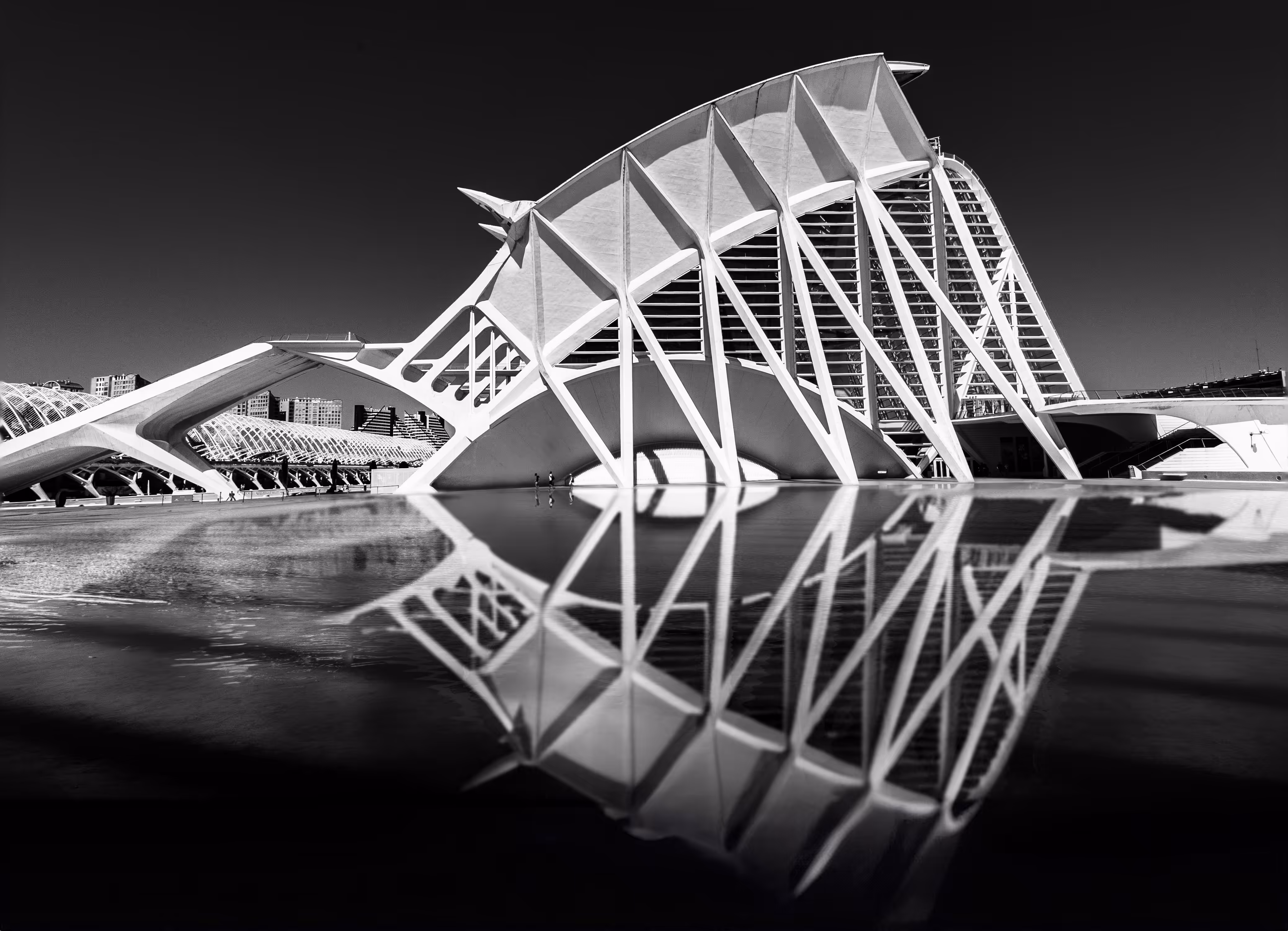 Skeleton Reflection