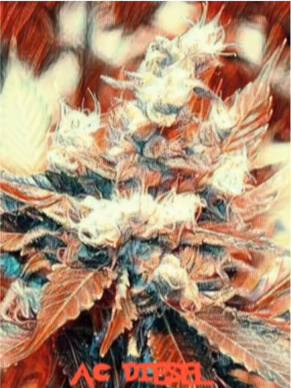 A.C Diesel - CannabisArtCollection#001