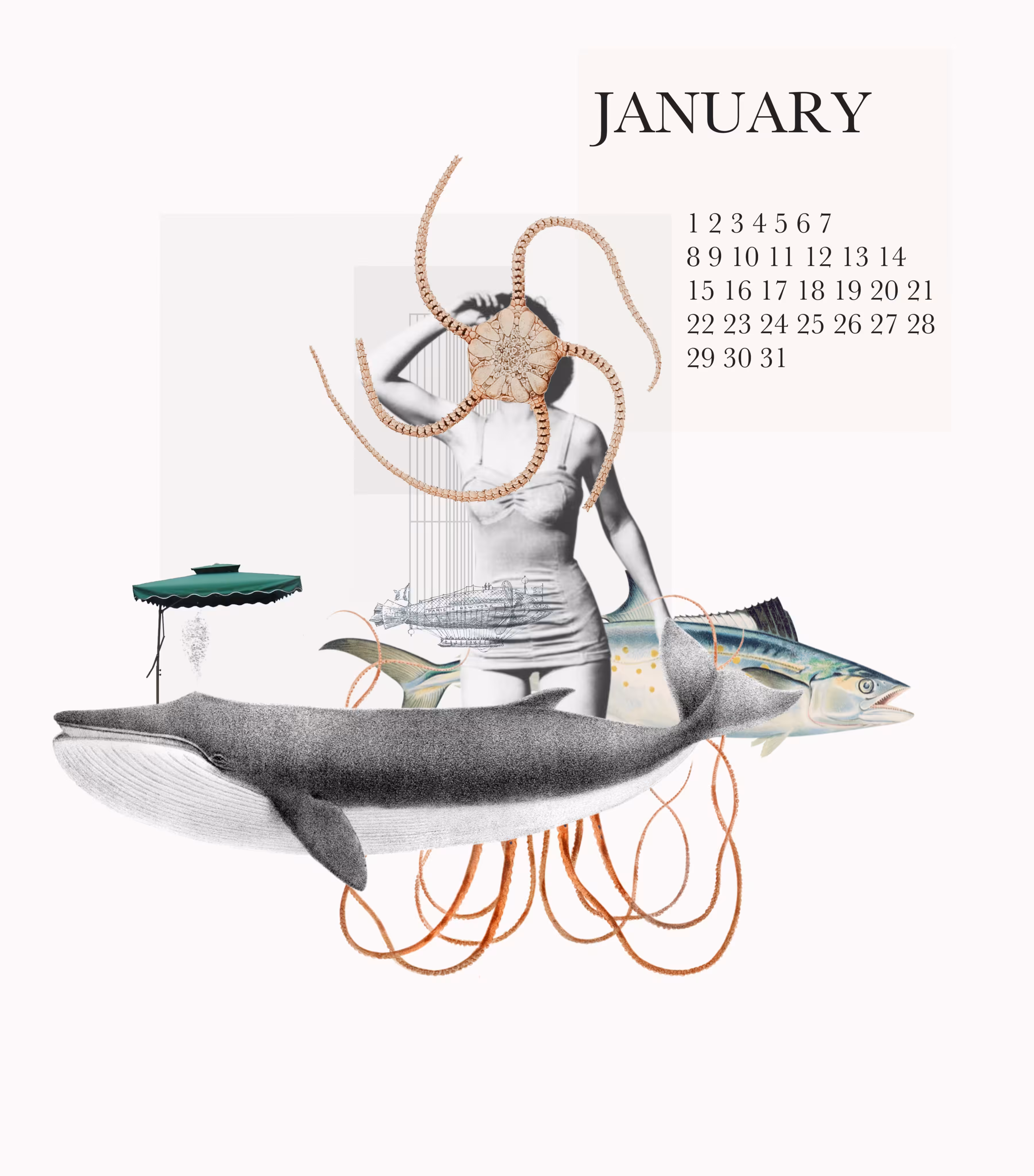 JANUARY