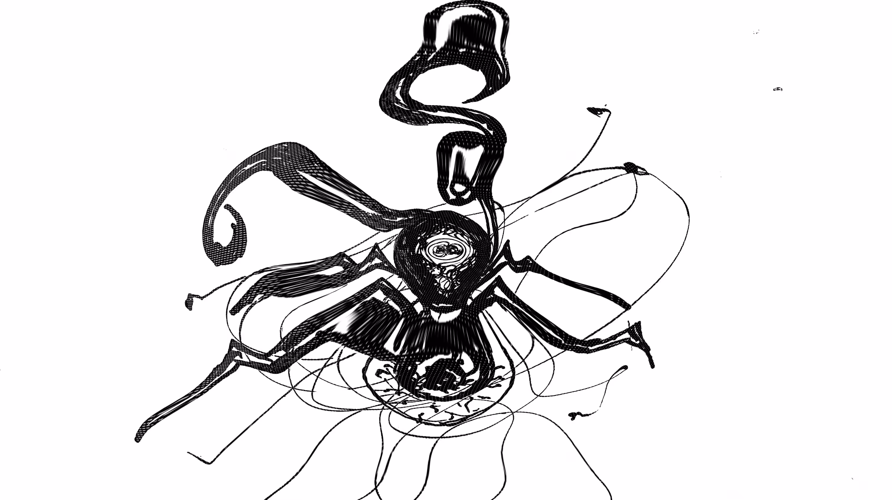 The Octopus And The Spider