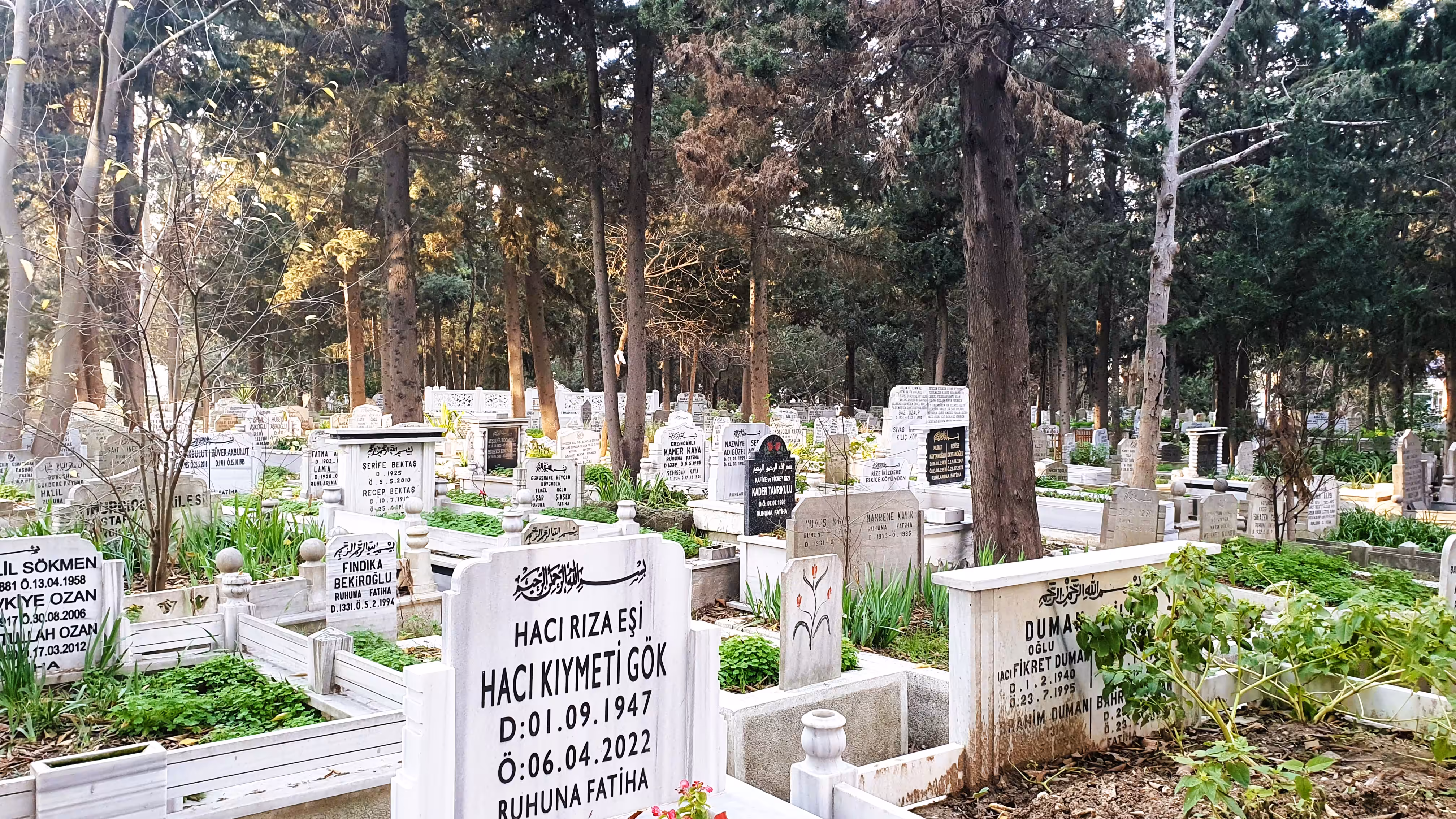 Cemetery-2