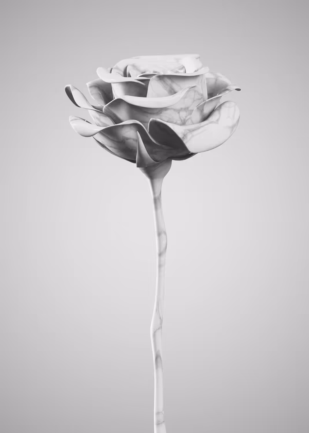 Rose #5: Marble