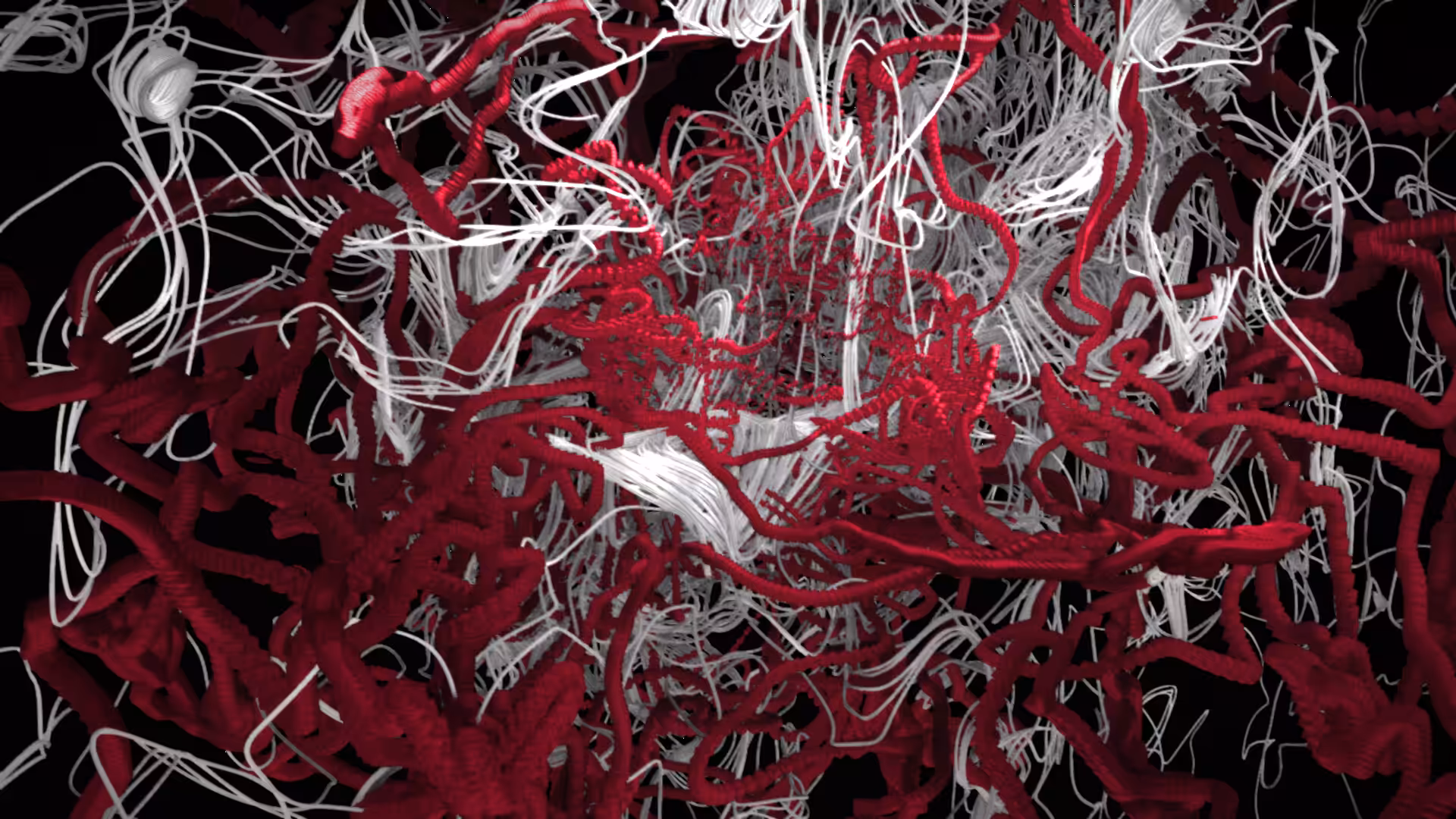 Generative structure V01 series 2/5