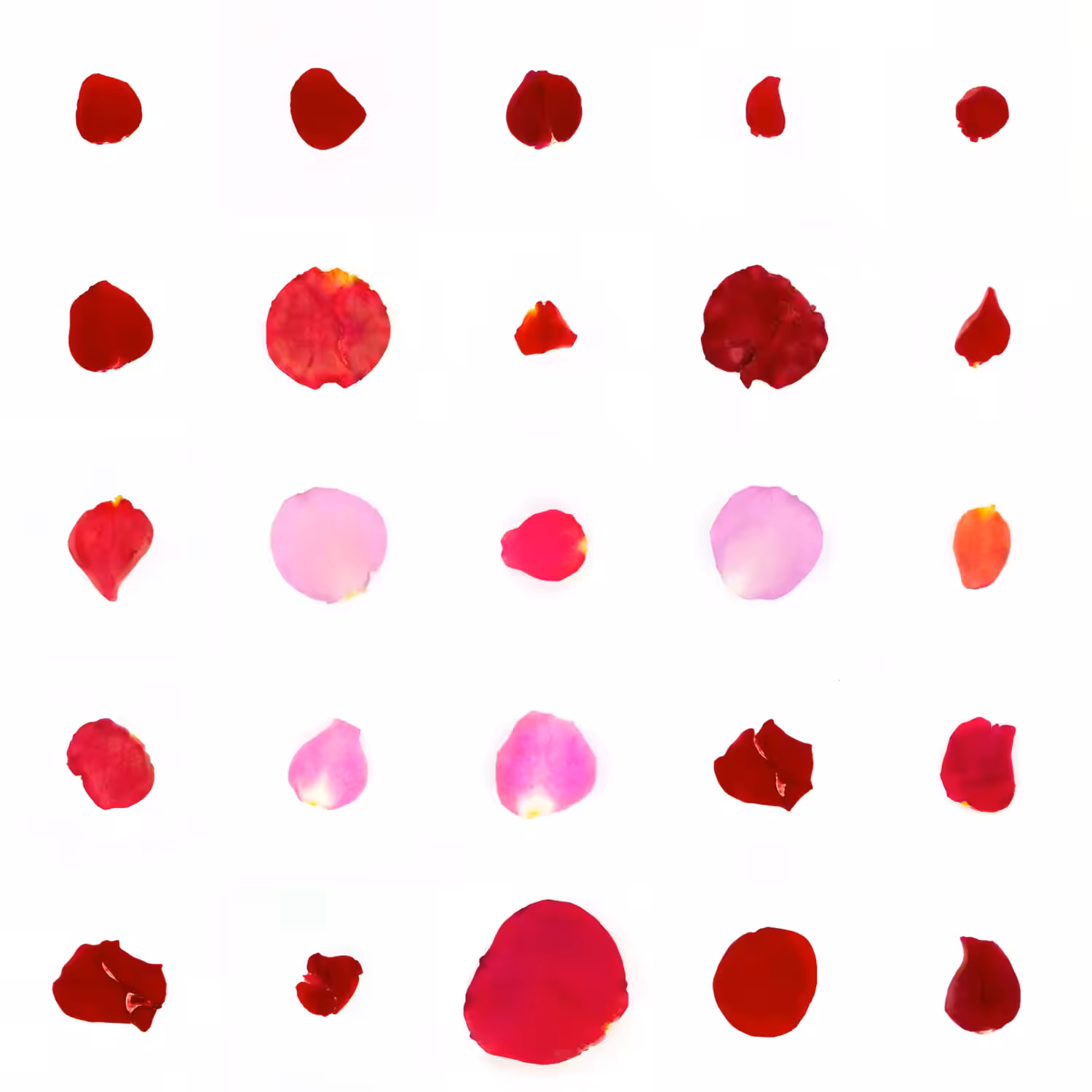 Infinite Petals 5x5#2801