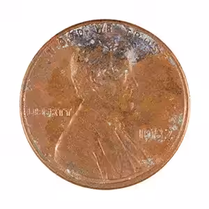 CENTS #6291