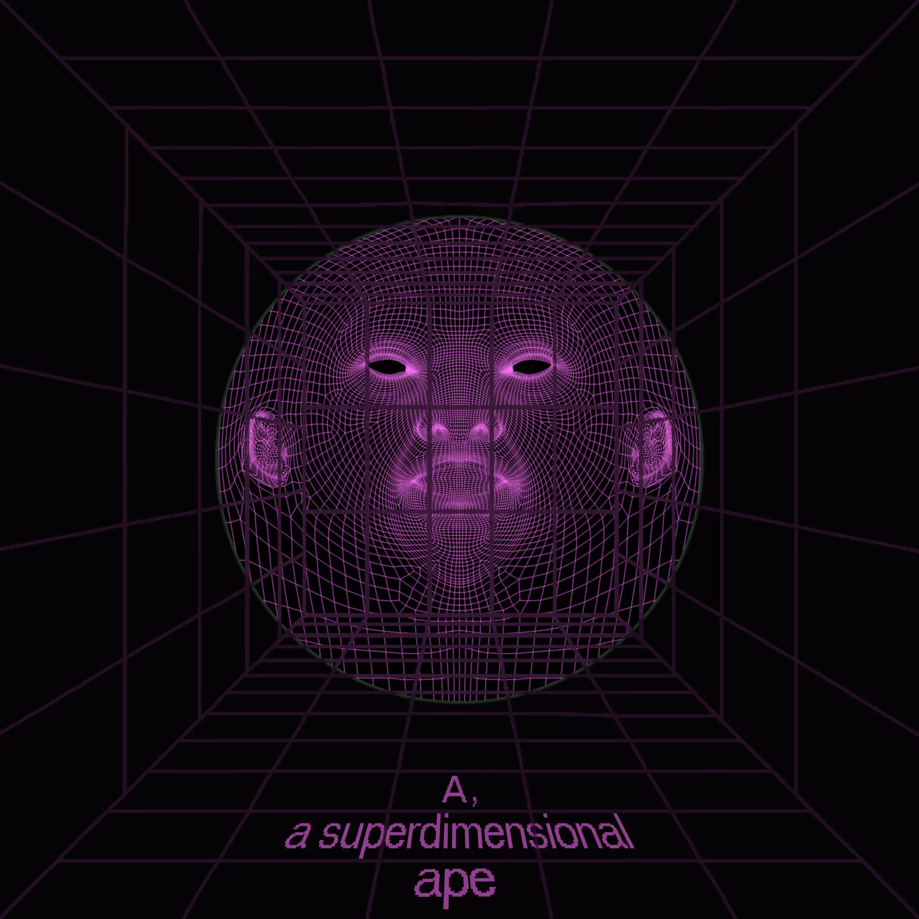 A, a super dimensional ape