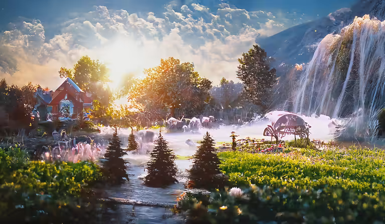 Magic meadow 