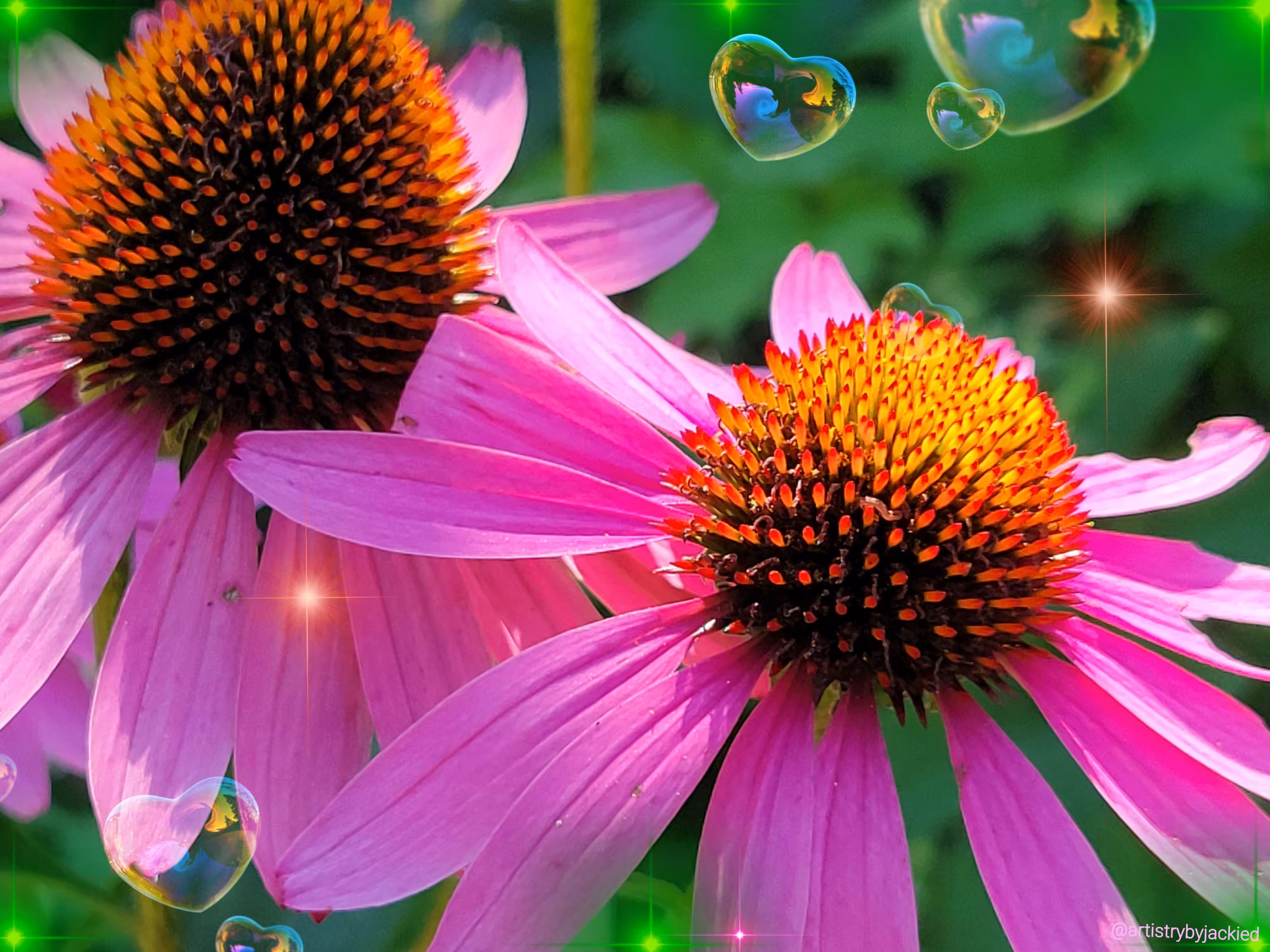Tez Flowerz #6