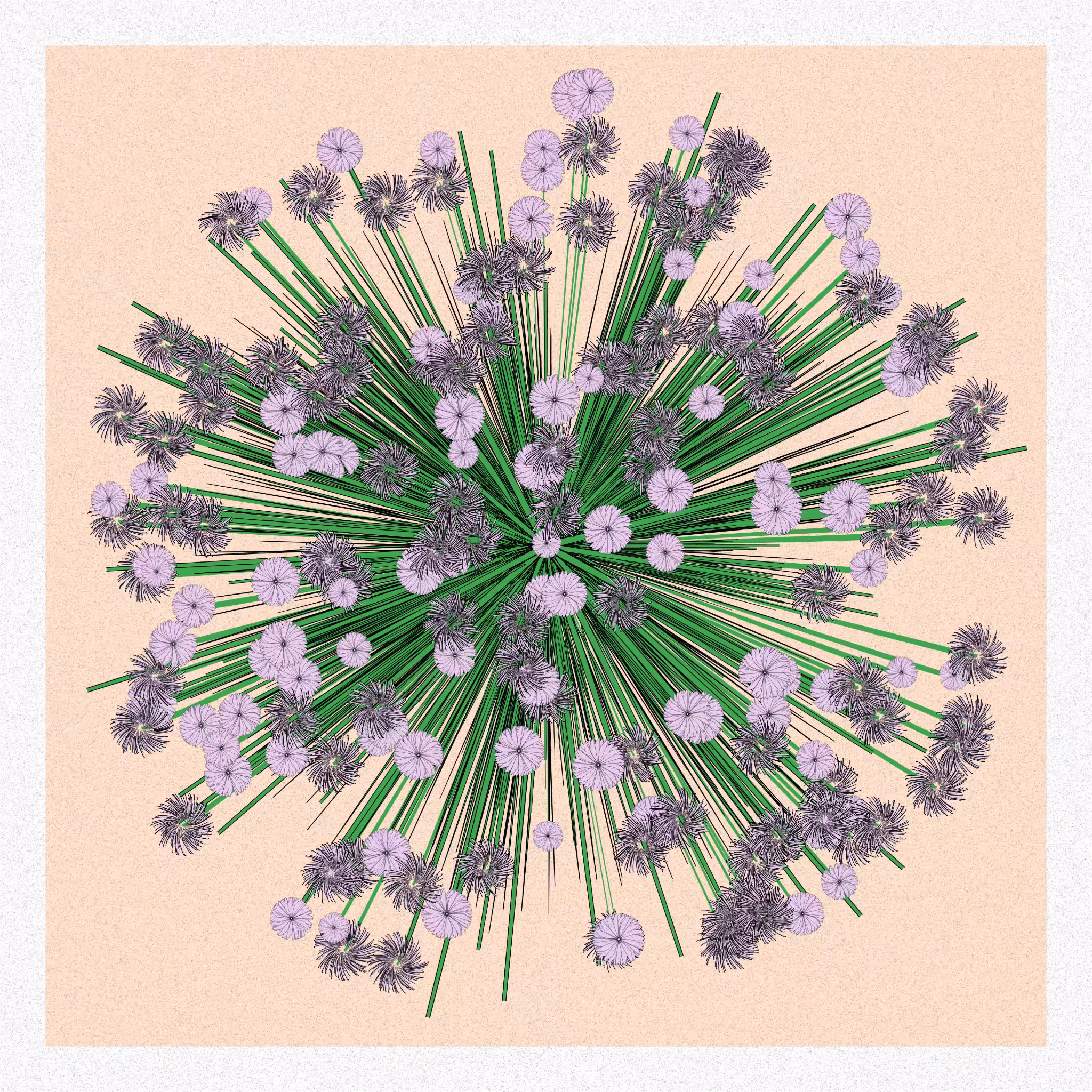 Flowers #79