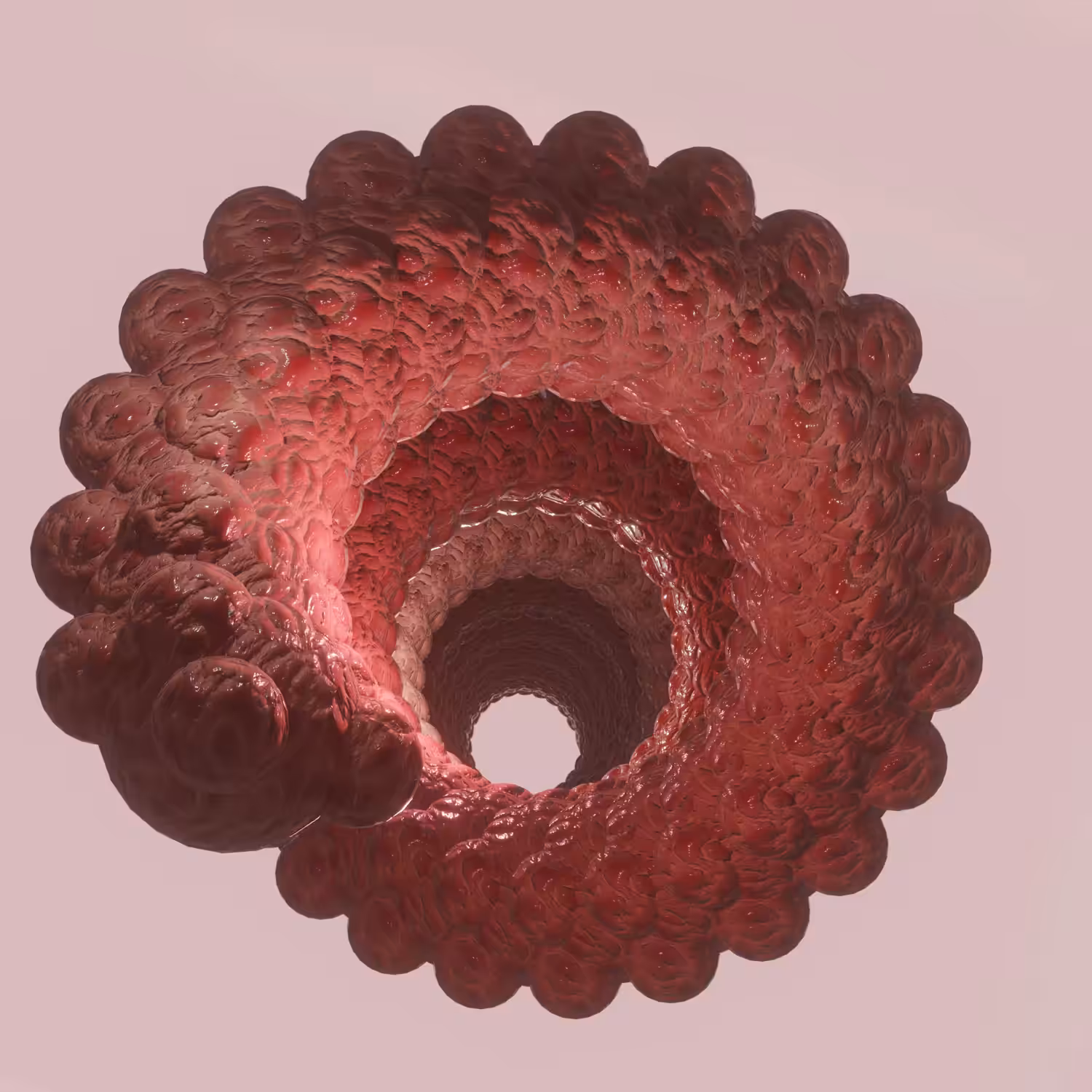 WORMHOLE