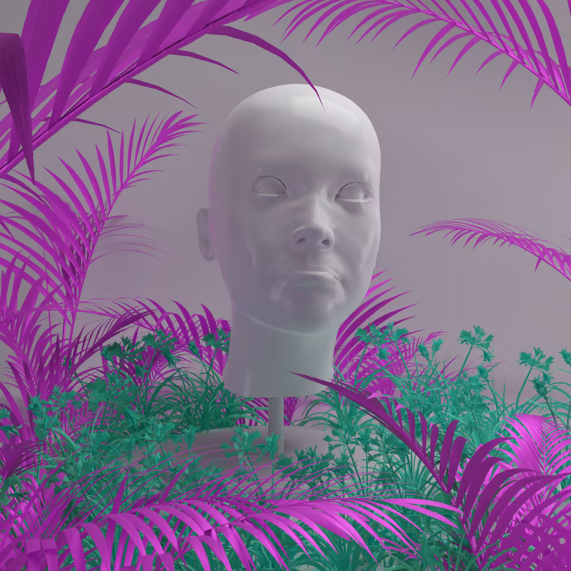 Incolor face