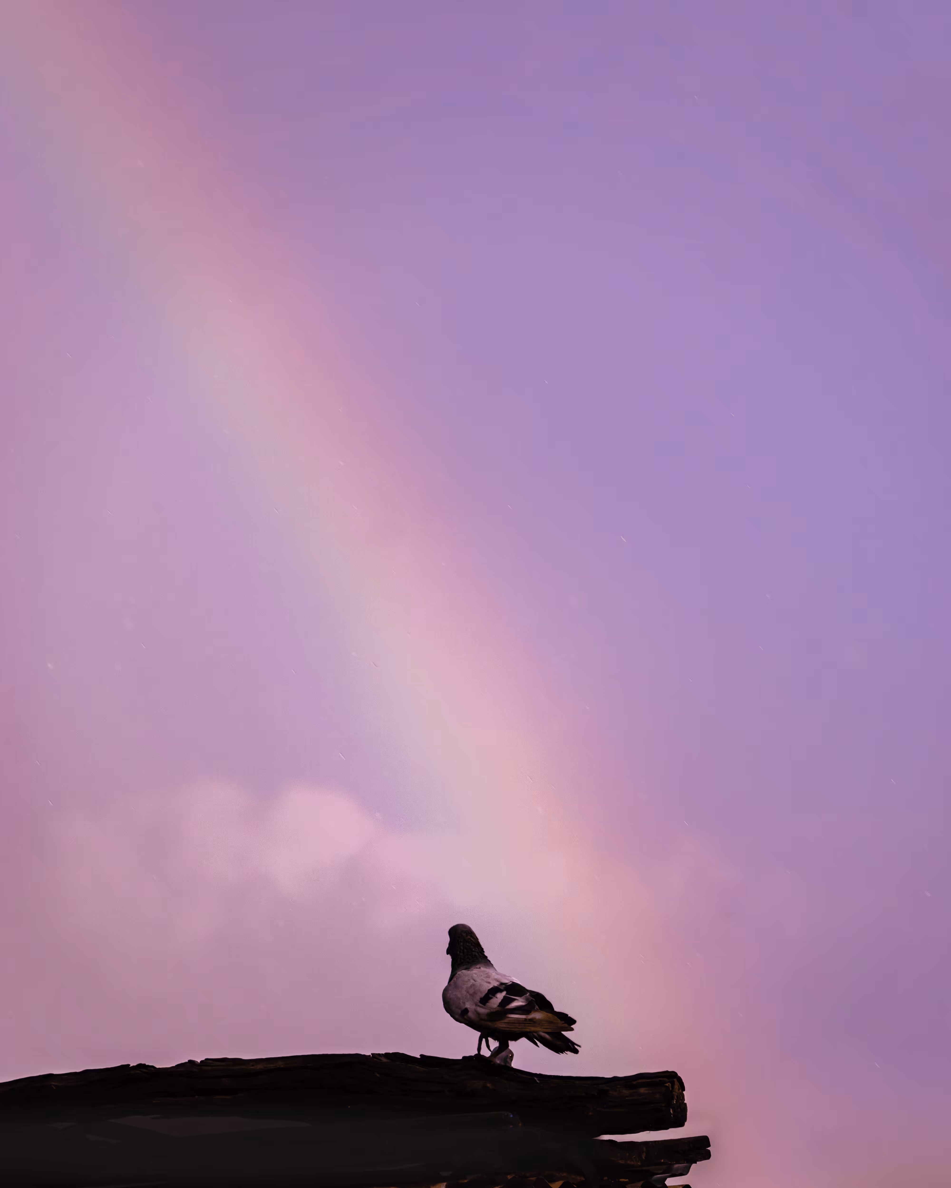 #13 Eighth color in rainbow