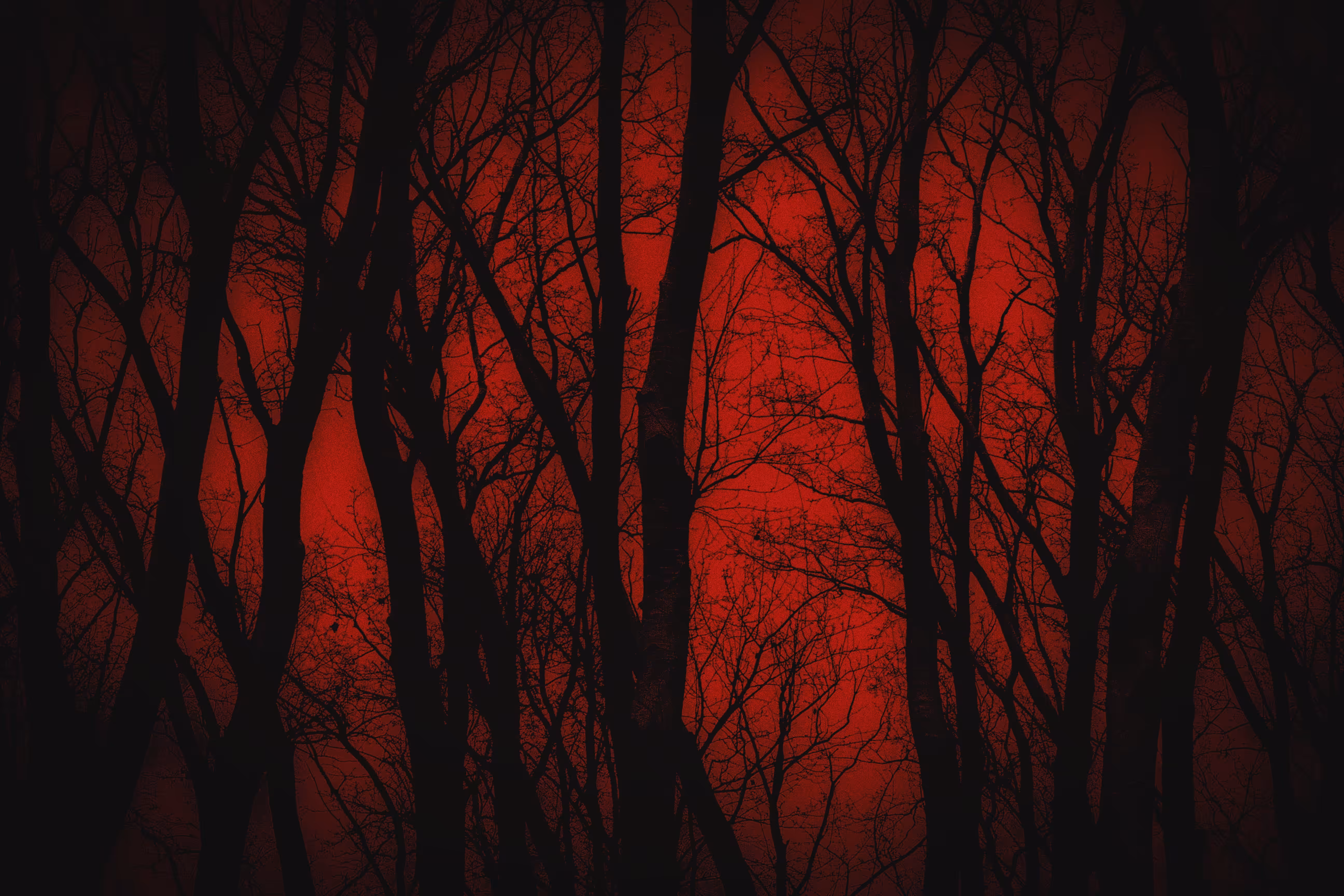 Scarlet Woods