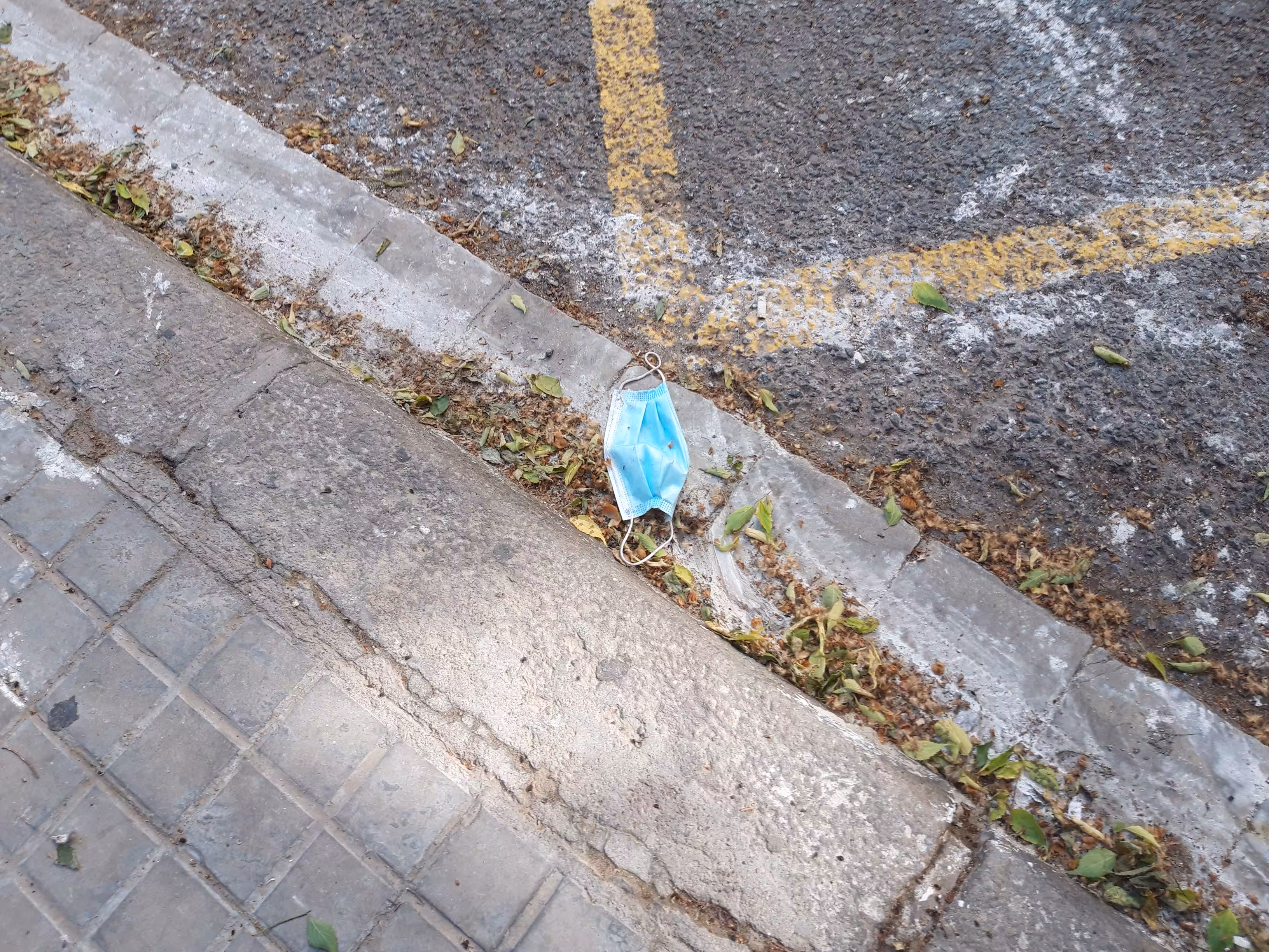 🗺️ 🗑️ nwnt009_2021-05-04 17.28.25.jpg