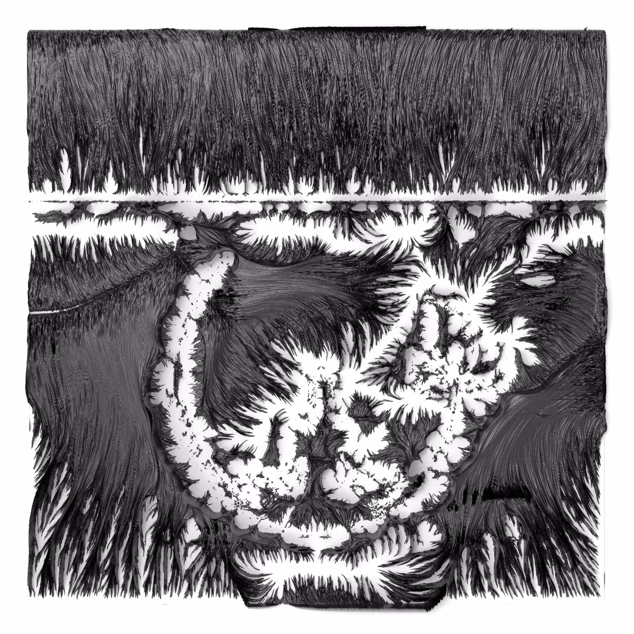 BW Algoscapes 31