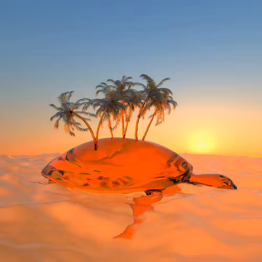 Sunset in June. Turtle