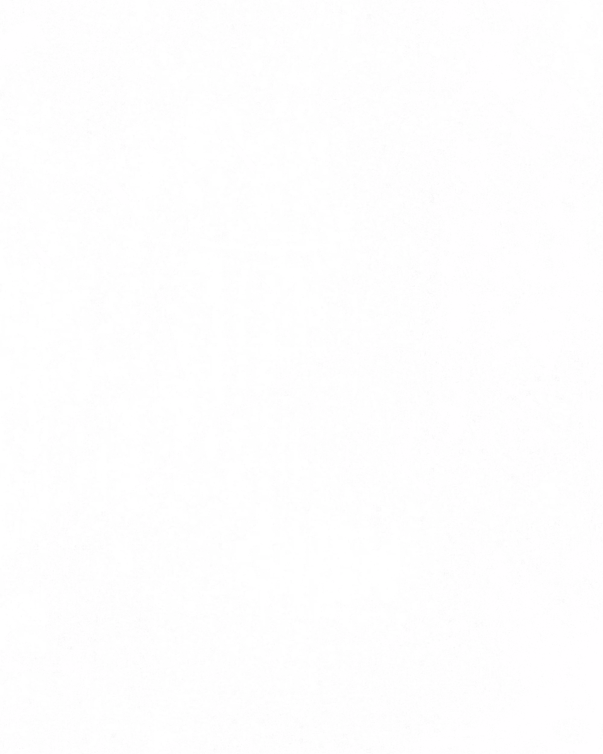 SLIMESHOP - Heavy Dust & Scratches - #1861