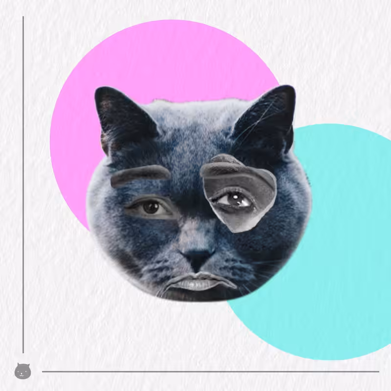 Kittenstein #31