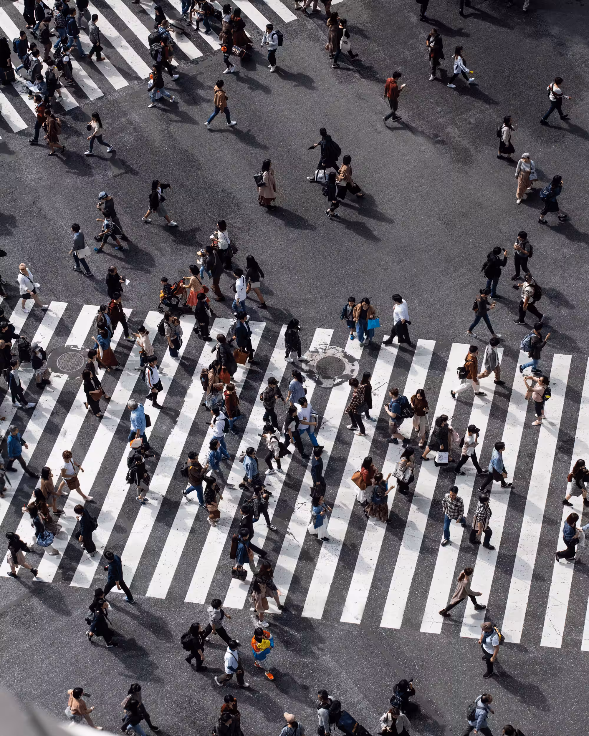The Crossing #15