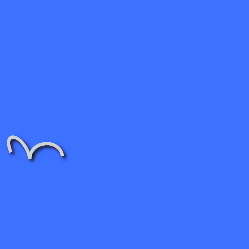 Birds #11