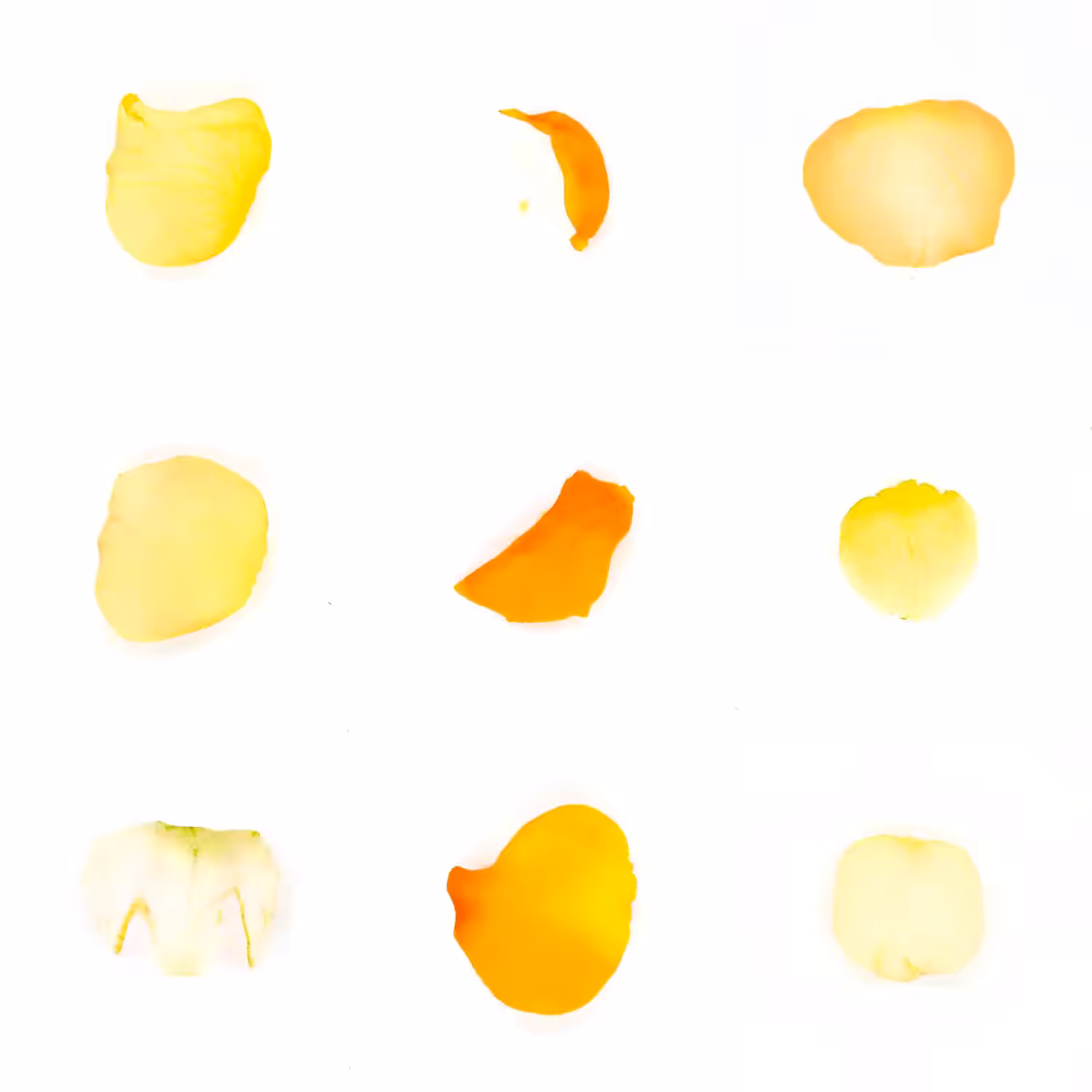 Infinite Petals 3x3#4052