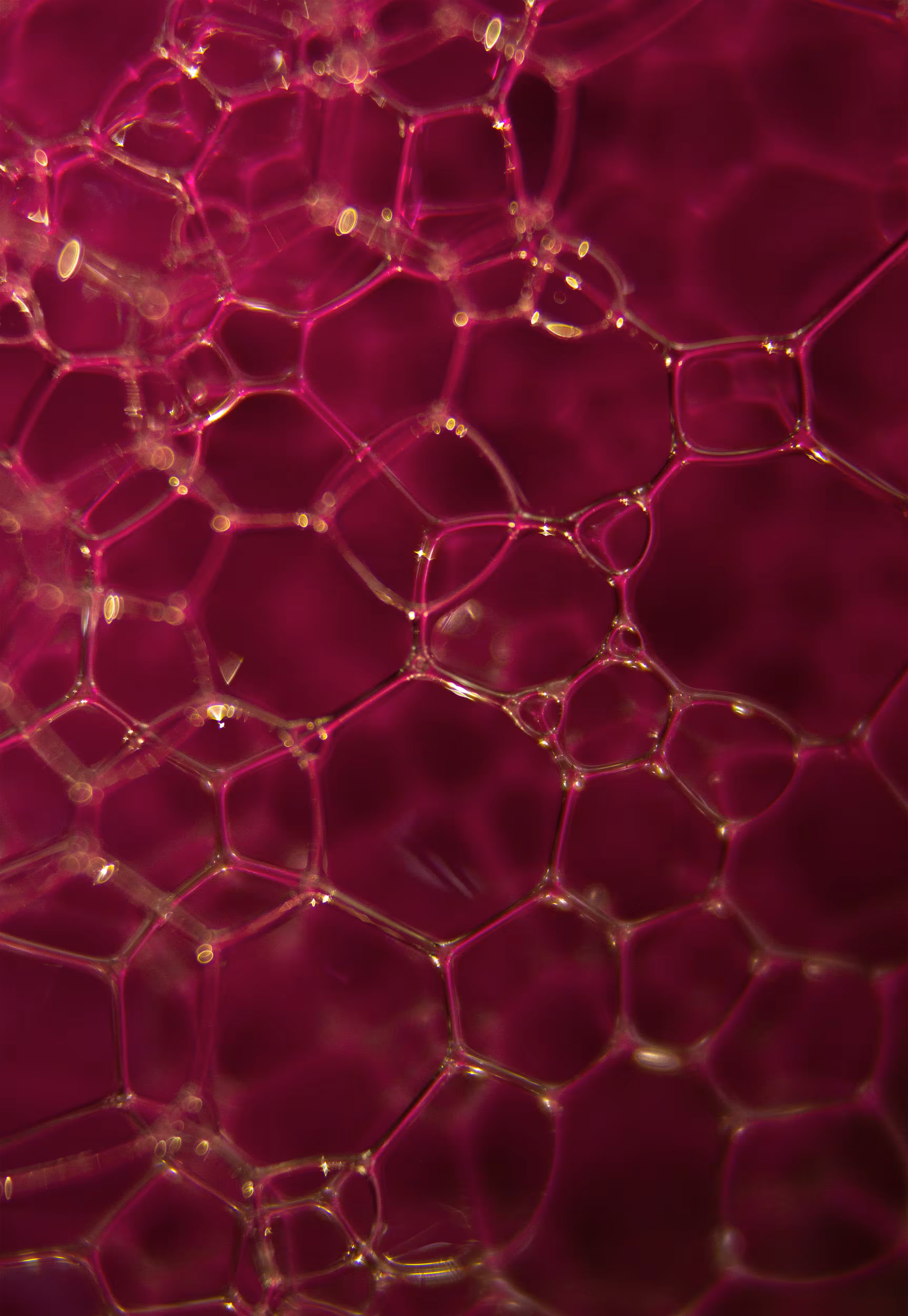 Abstract World of Soap Bubbles: #21 Bubbles