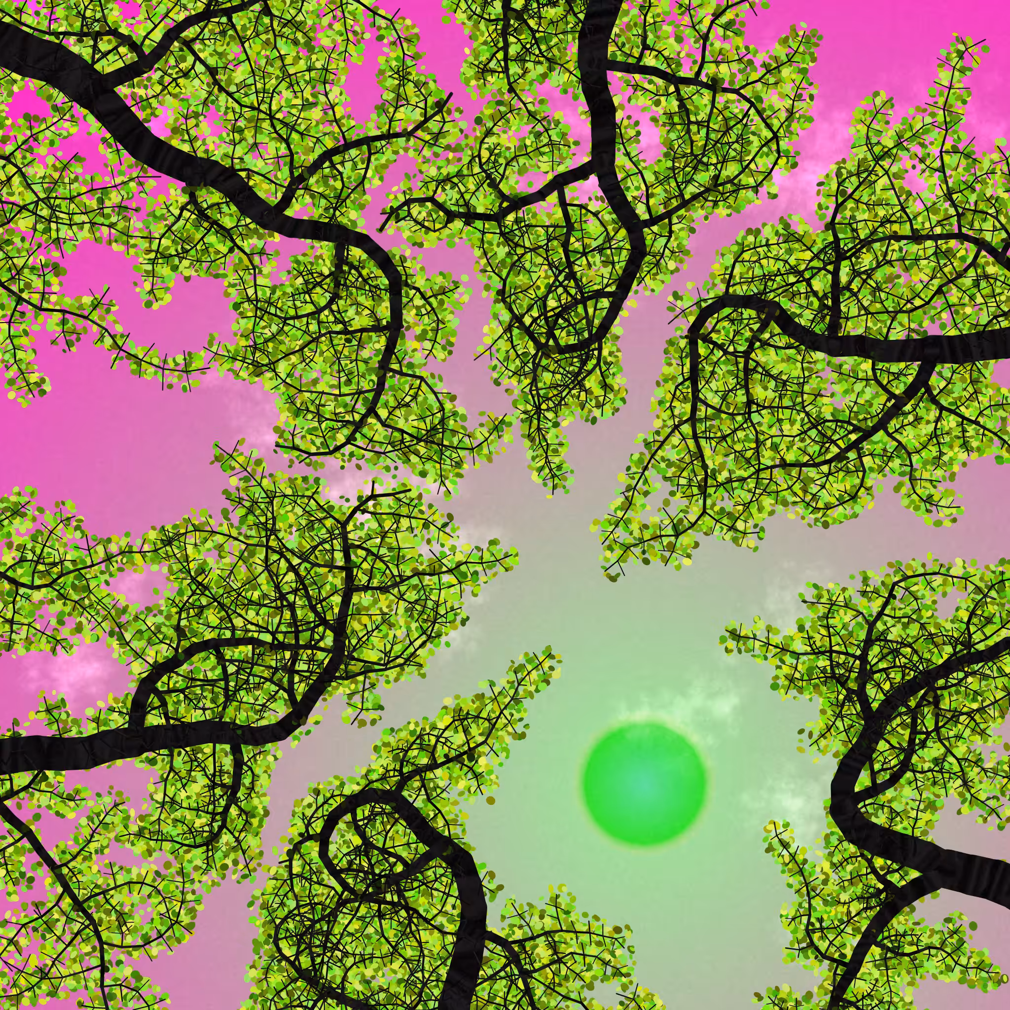 Tree Skyness #106