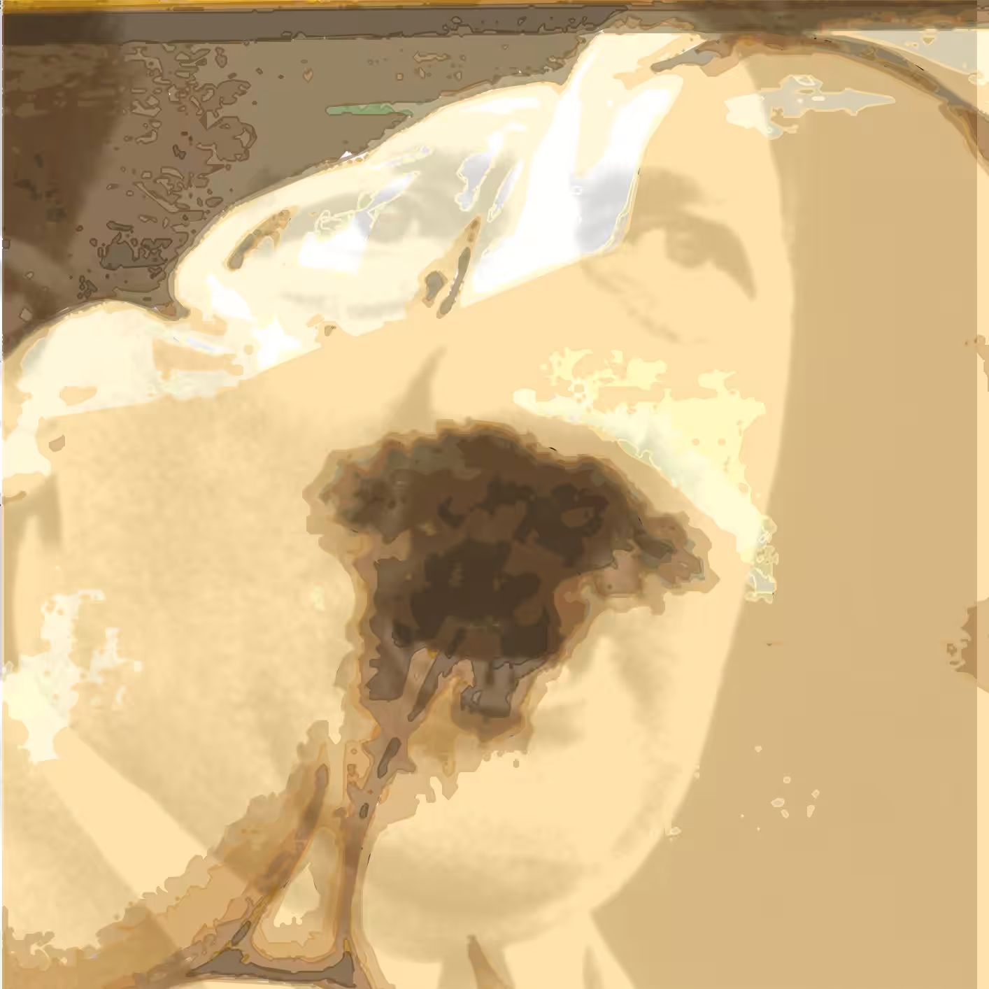 Origine of the world's trubles ? 1