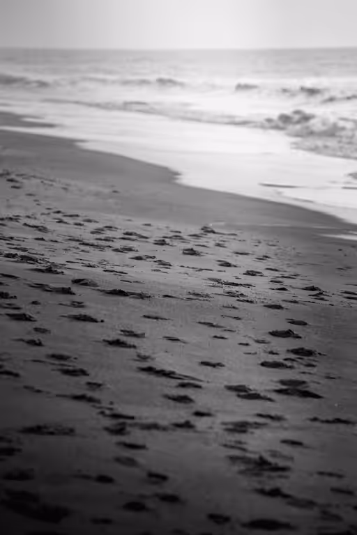 the tracks #17 