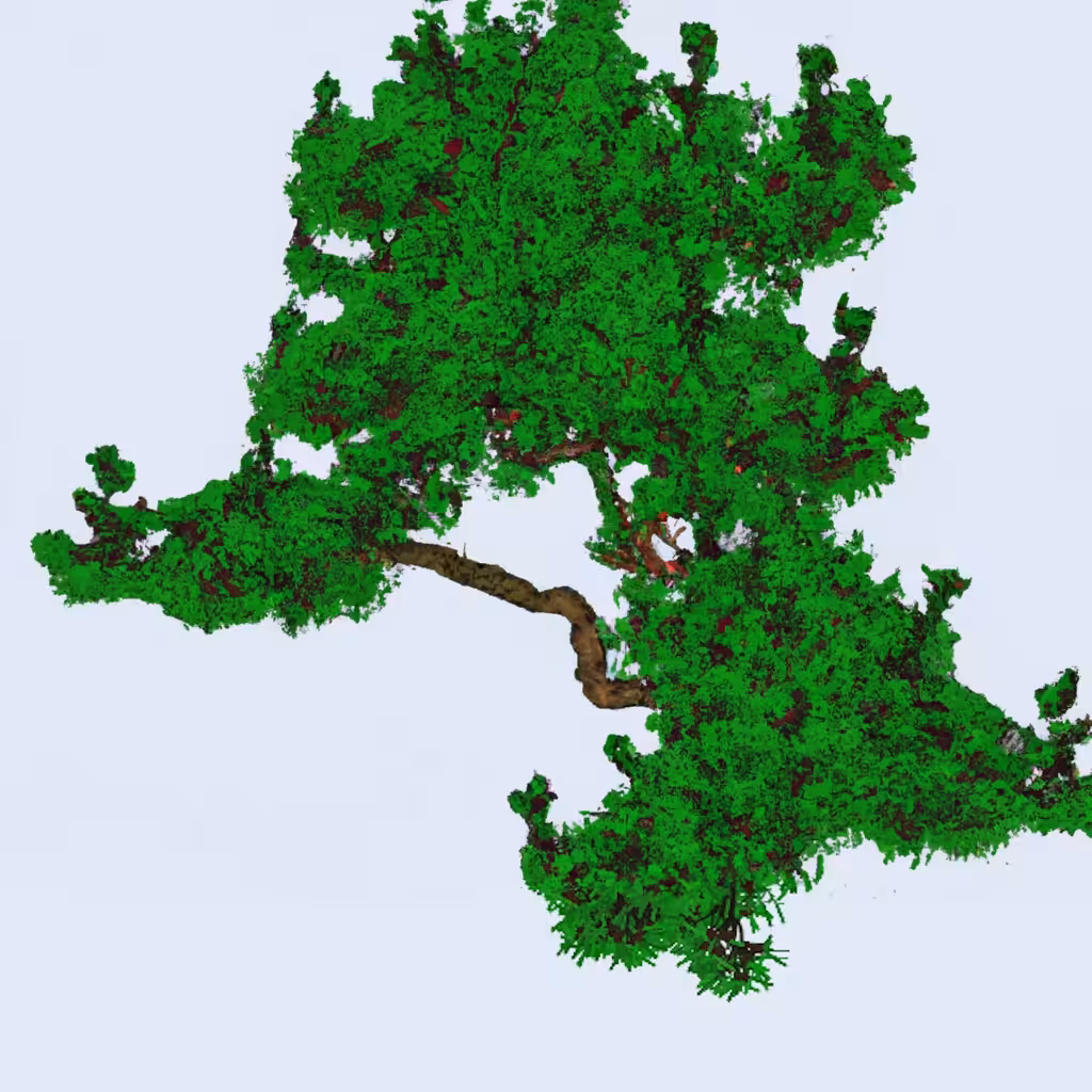 Artificial reflections of reality: Procedural Maritime Pine 271333
