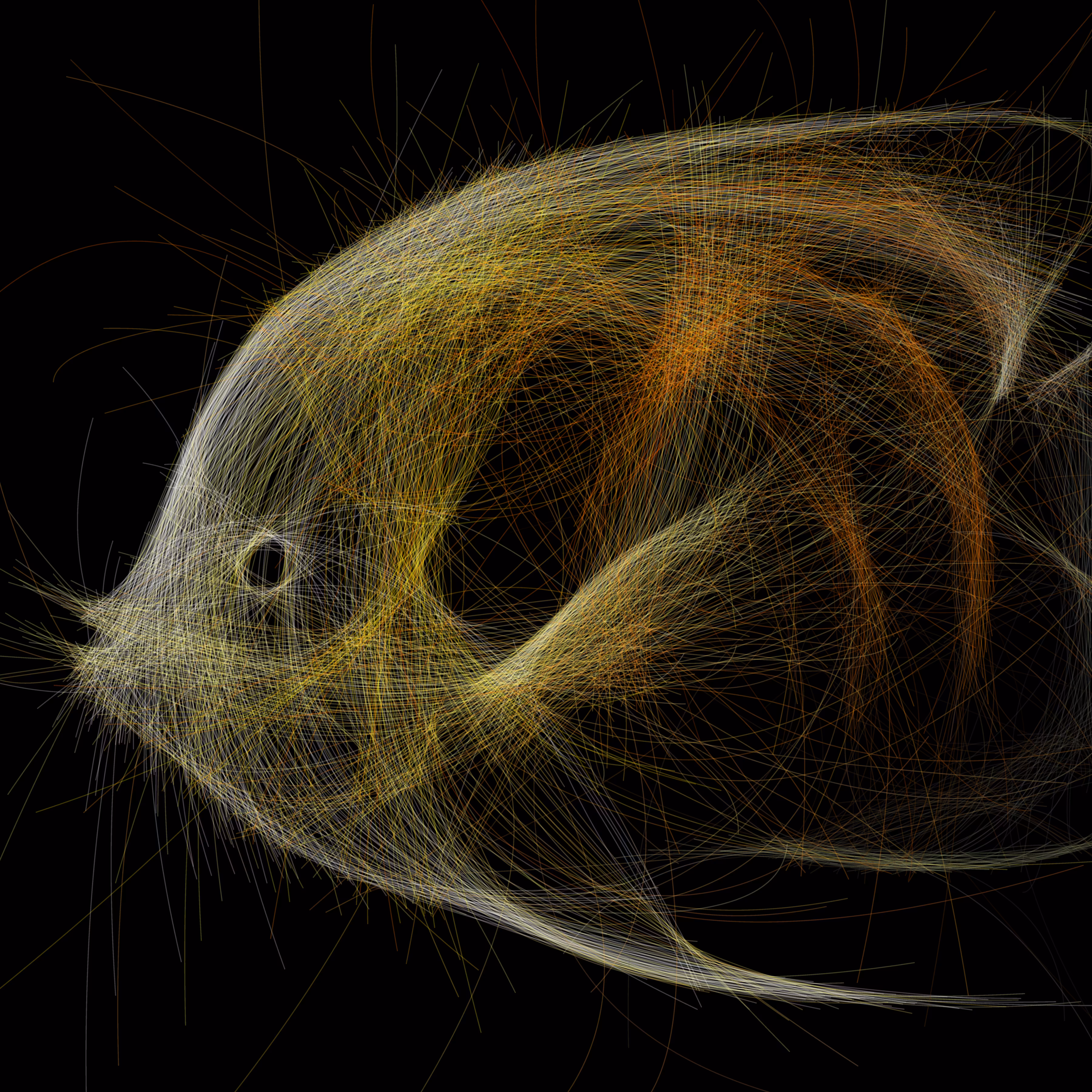 Underwater 257