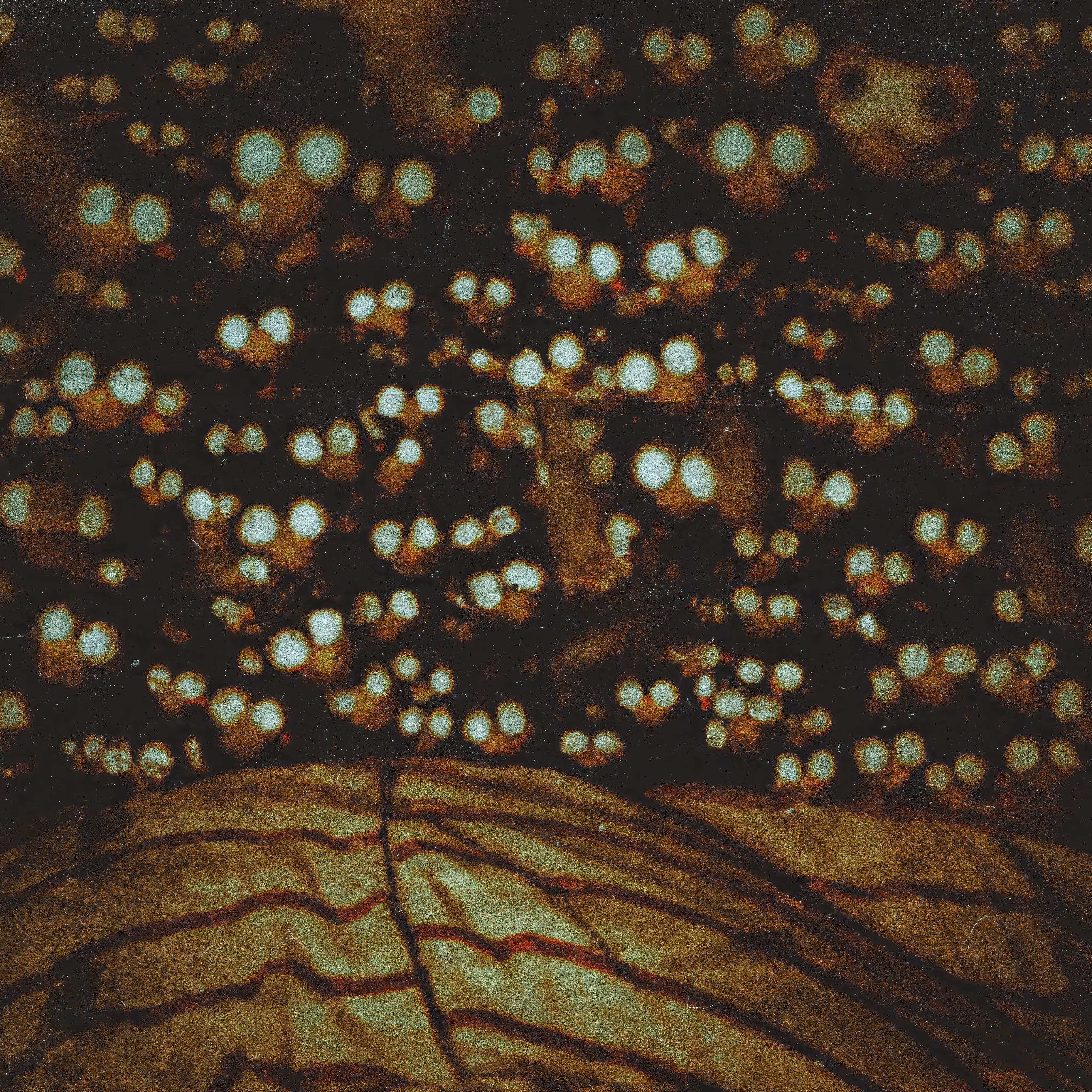 Hypnagogia #14