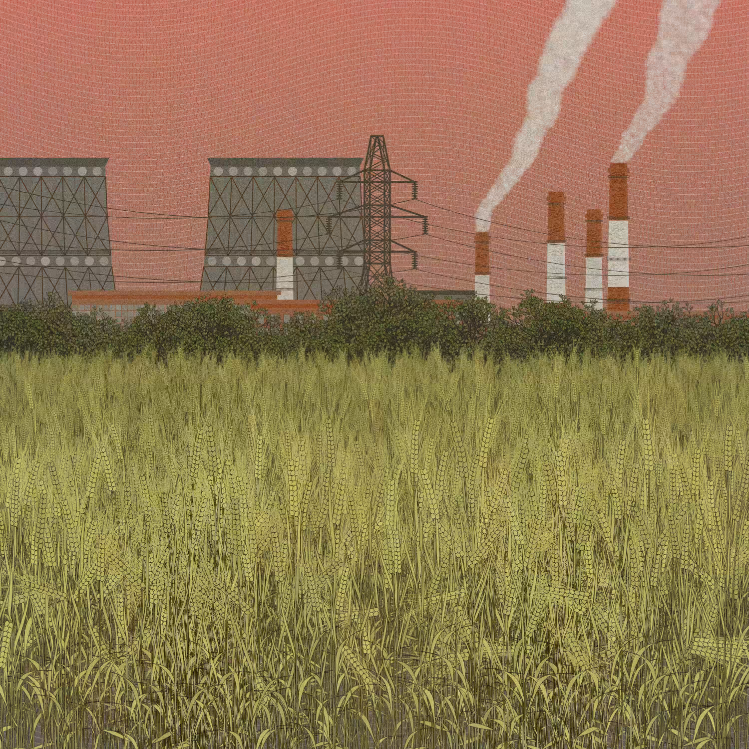 Fields of the Abandoned Homeland #2