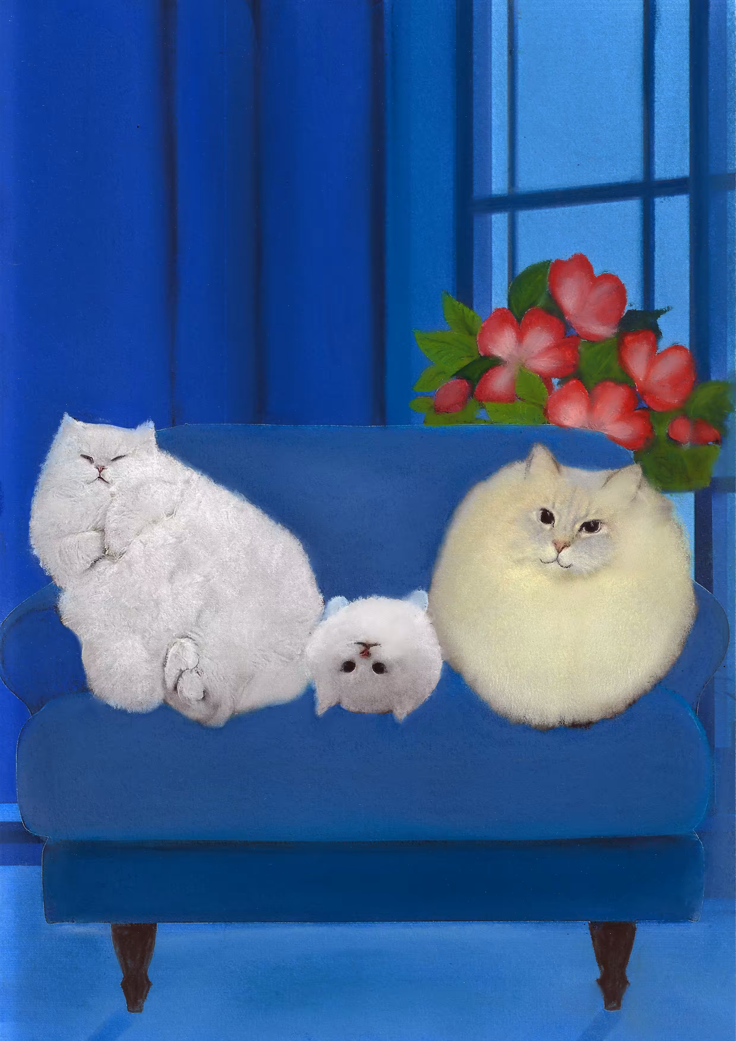 It’s cloudy in my house today 