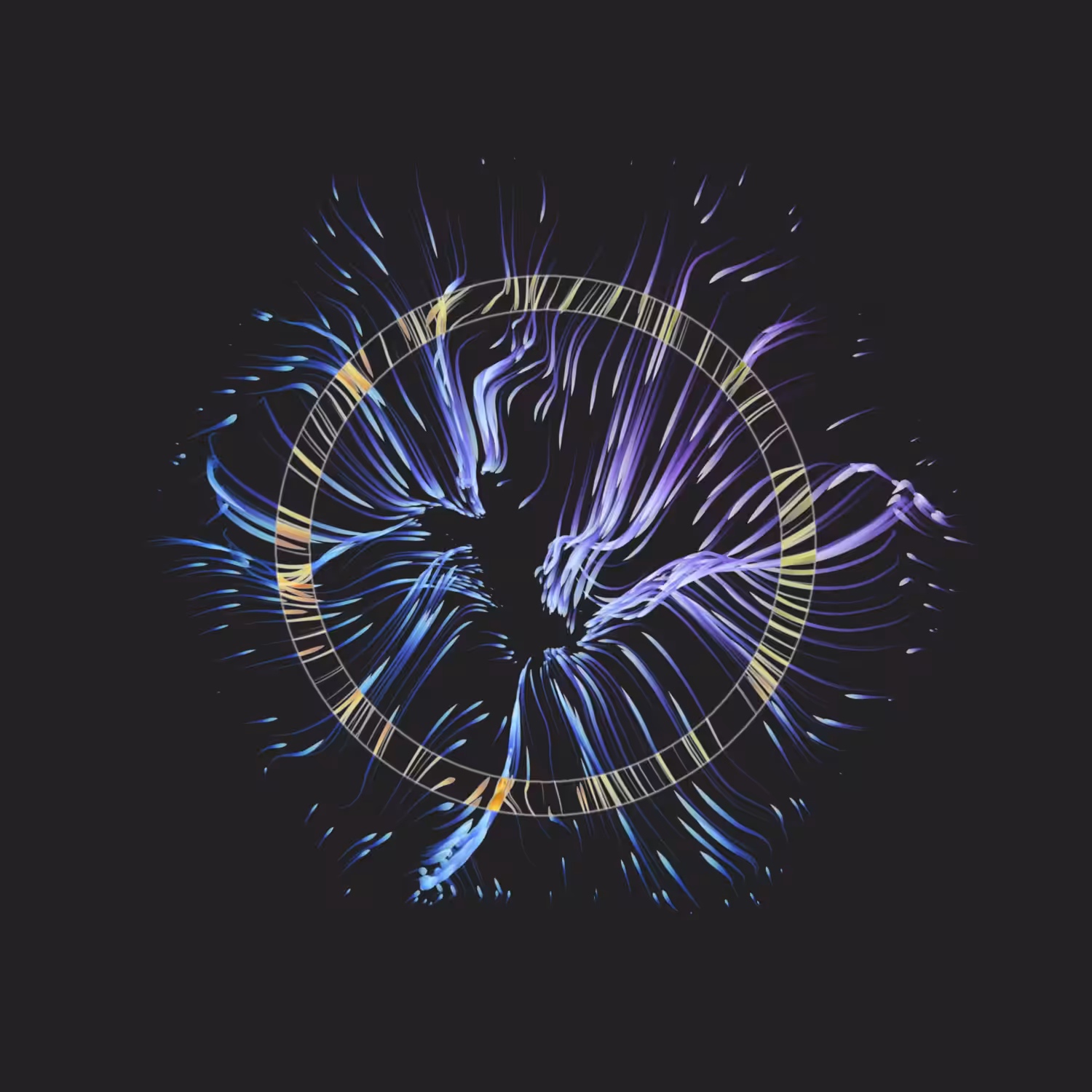 Vortex #894