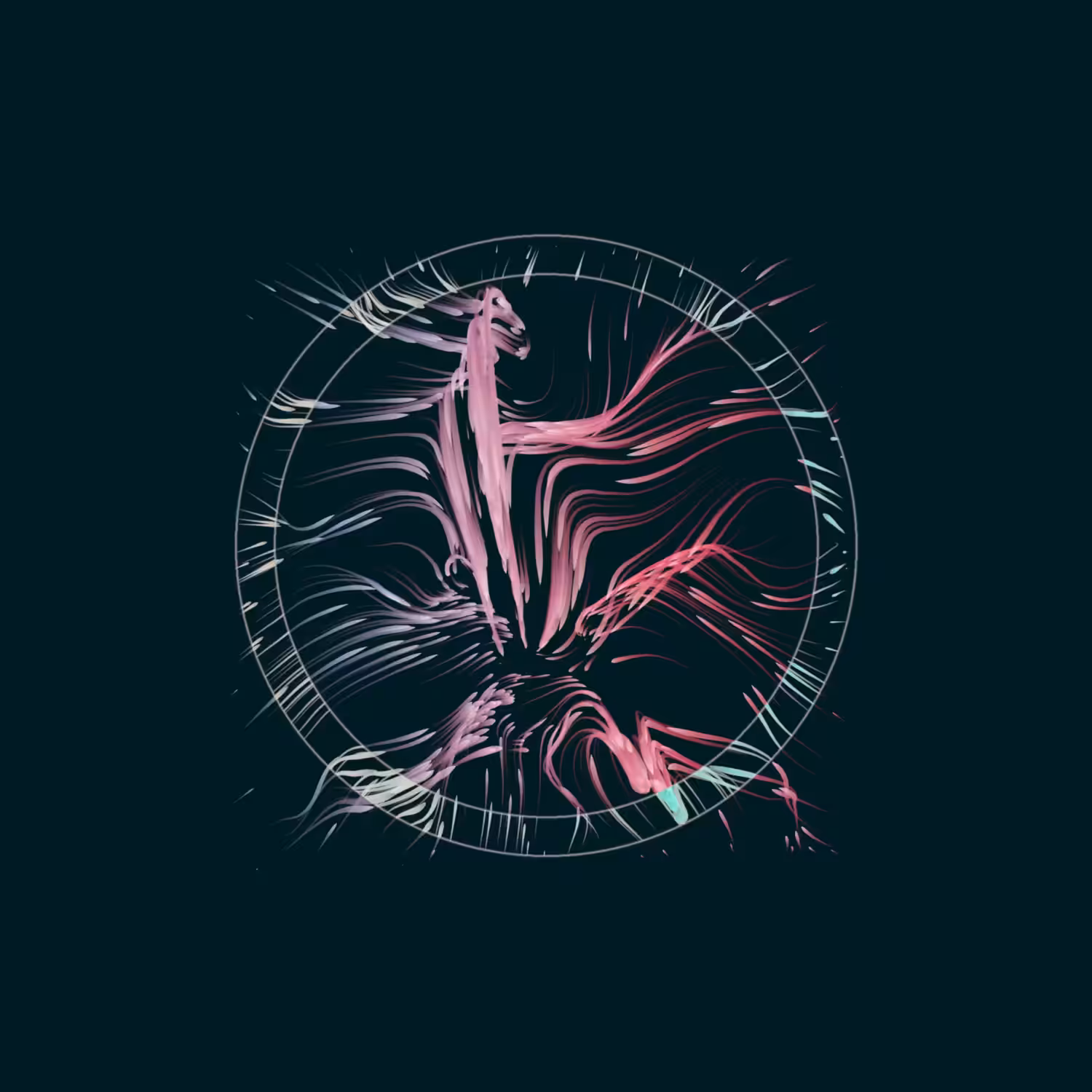 Vortex #1010