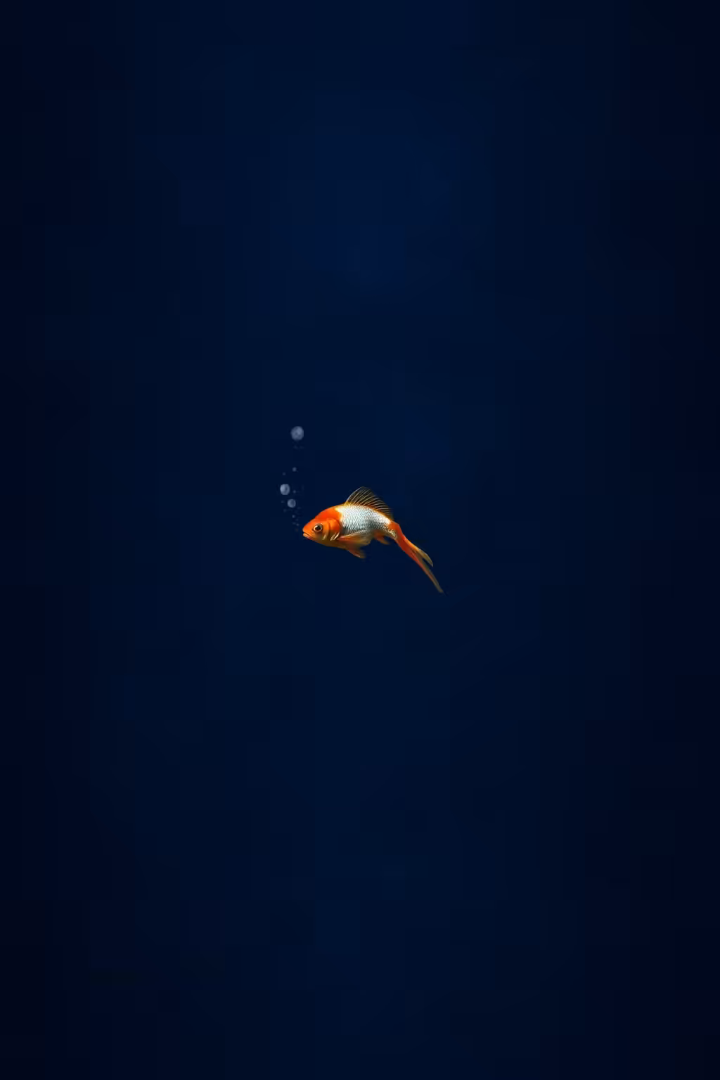 Goldfish