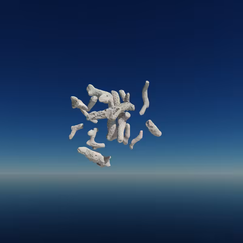 Bone Work (Gulf of Mexico) 2022 #99