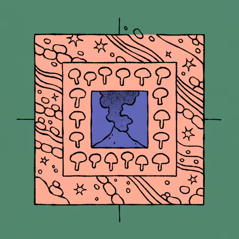 borders #380