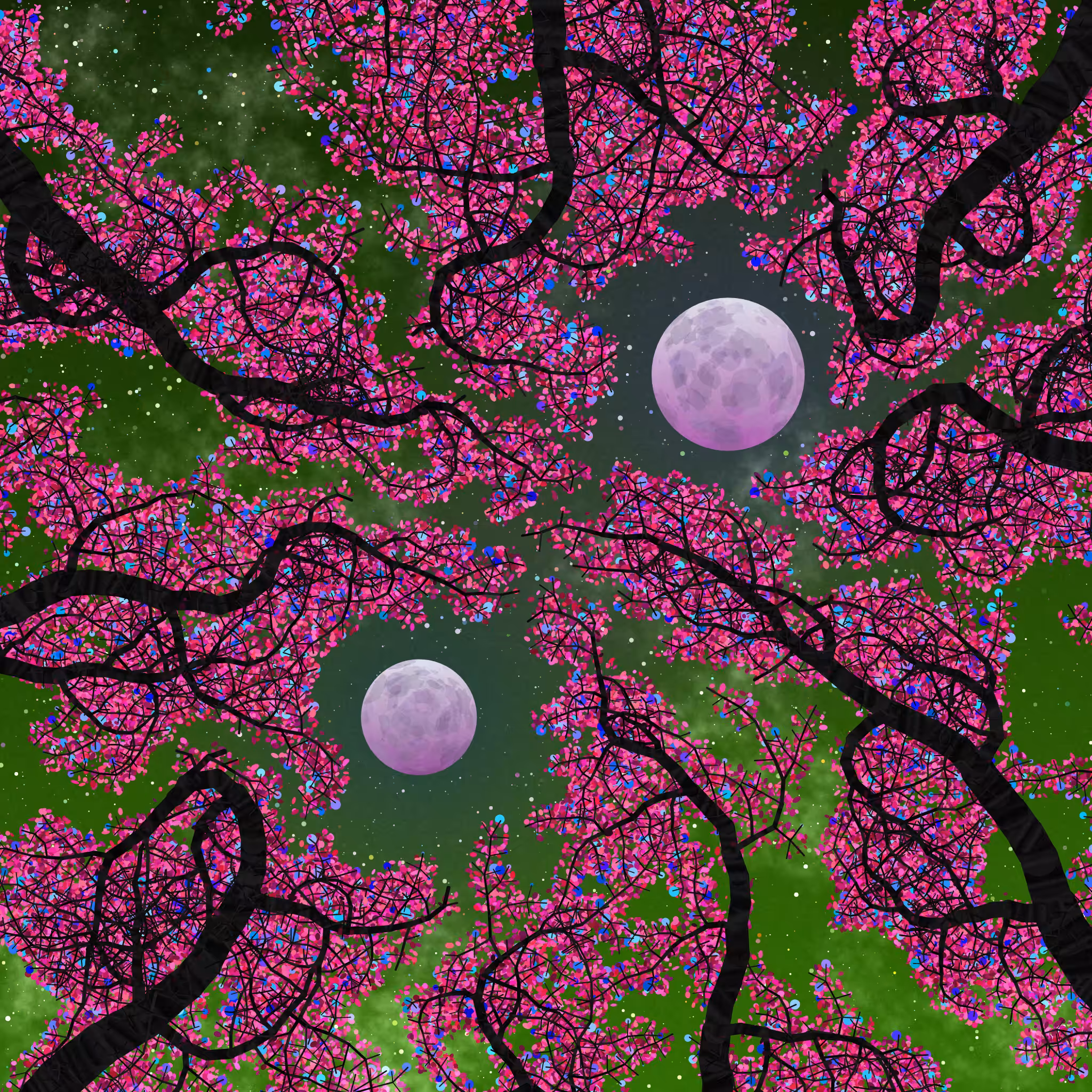 Tree Skyness #14