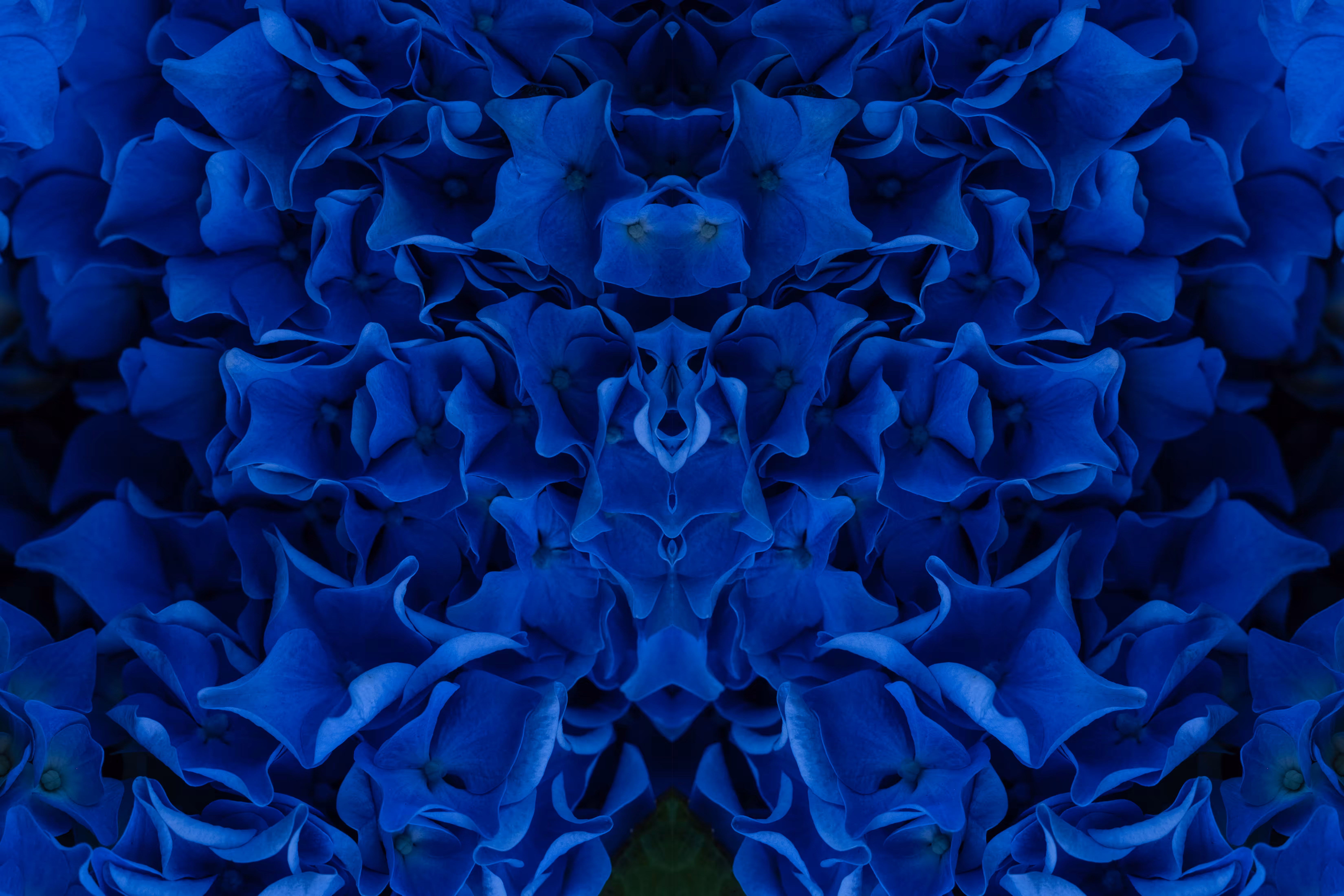 Rorschach #146
