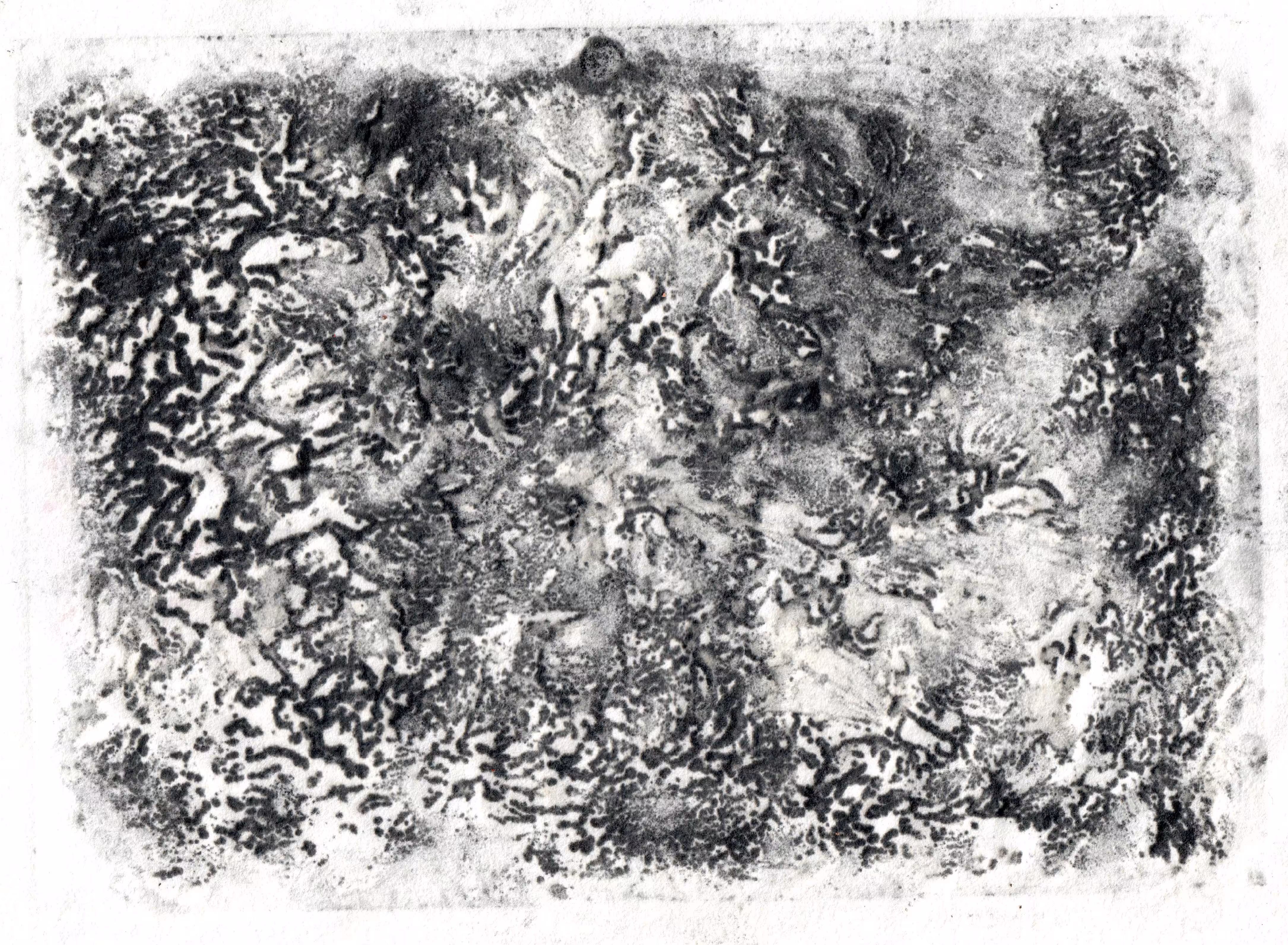 a print