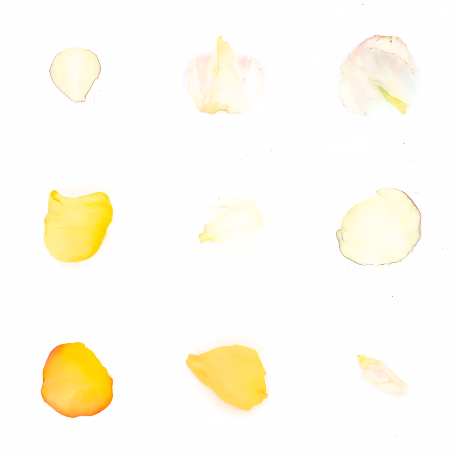Infinite Petals 3x3#3708